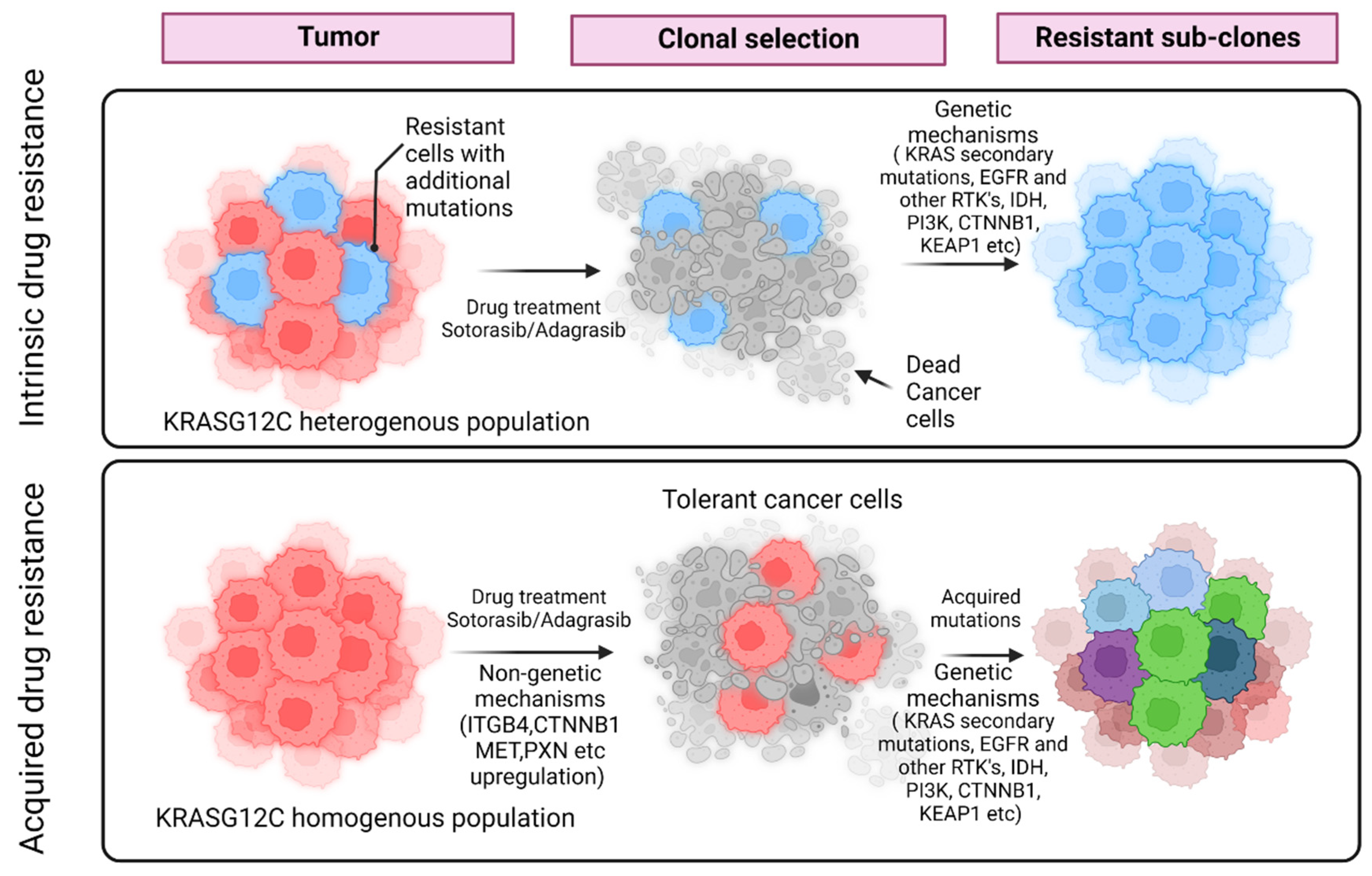 Biomolecules 13 01587 g003
