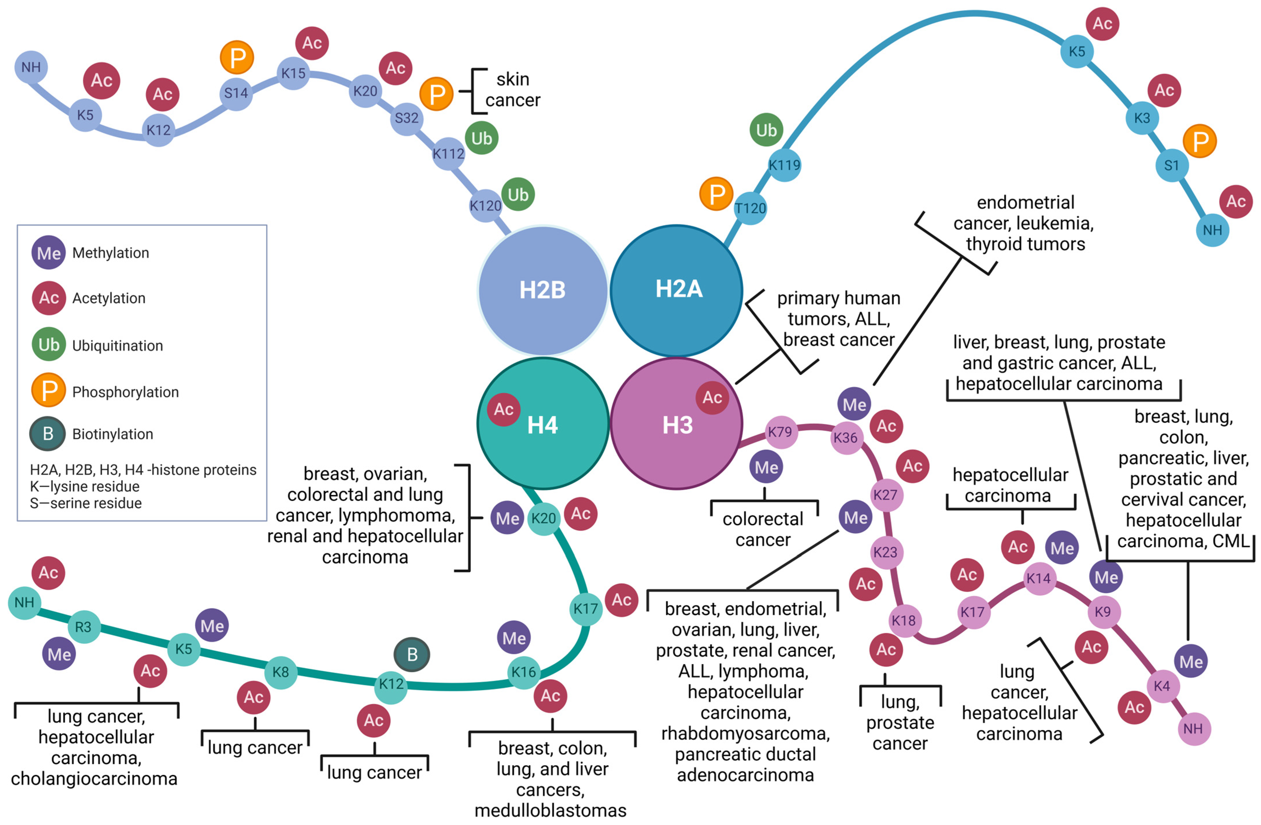 Biomolecules 13 01590 g001