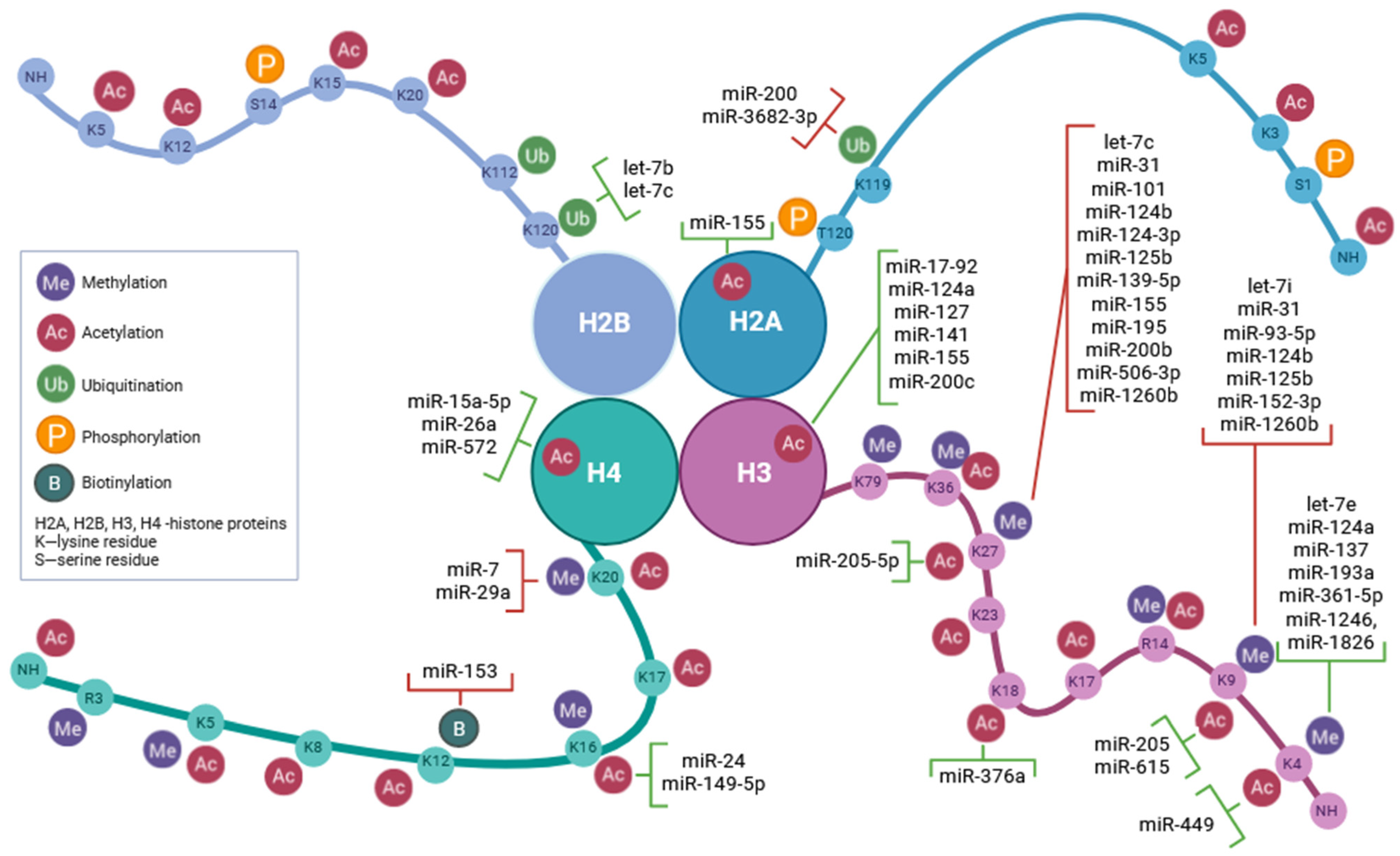 Biomolecules 13 01590 g002