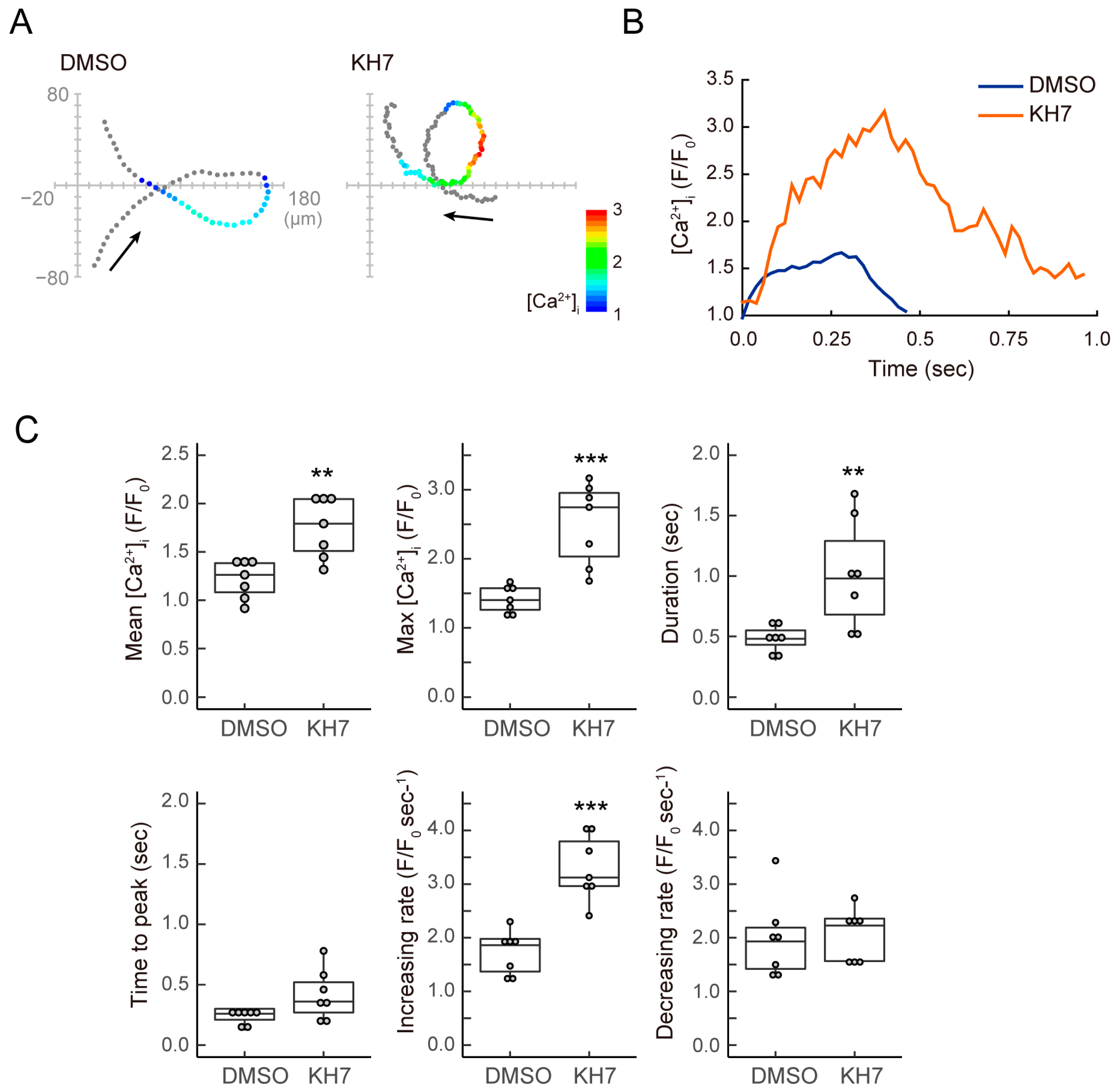 Biomolecules 13 01594 g004