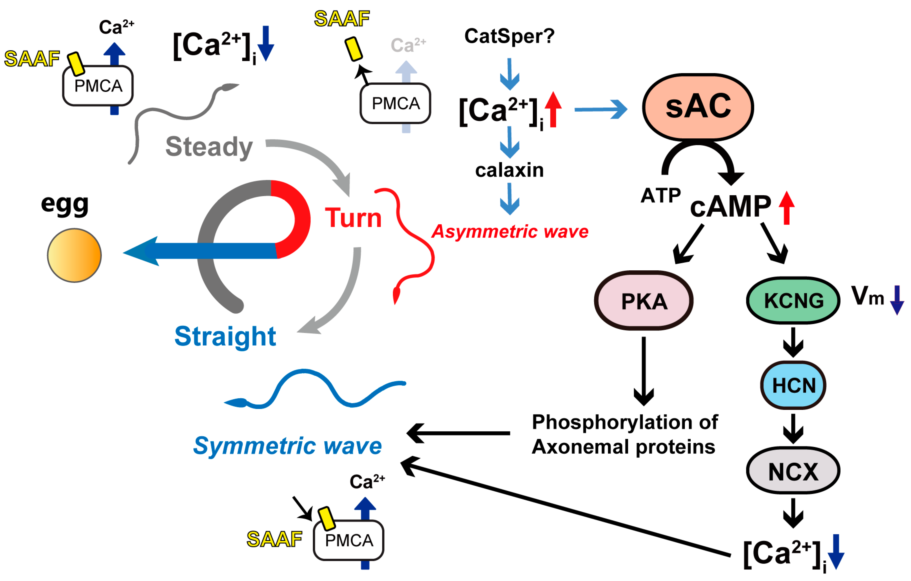 Biomolecules 13 01594 g005