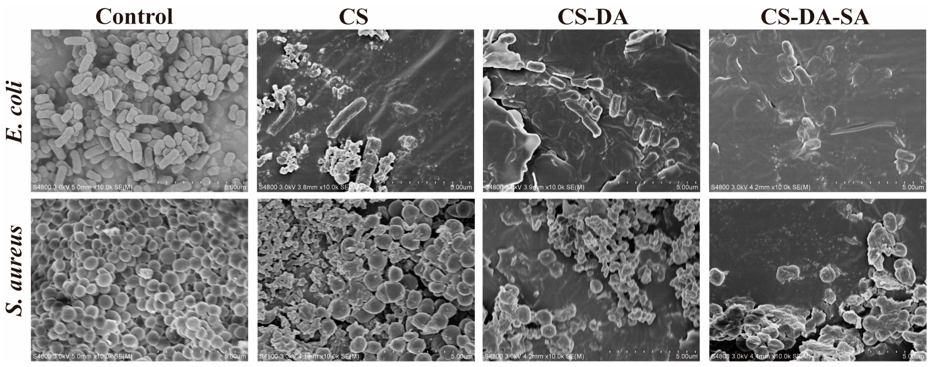 Biomolecules 13 01595 g006