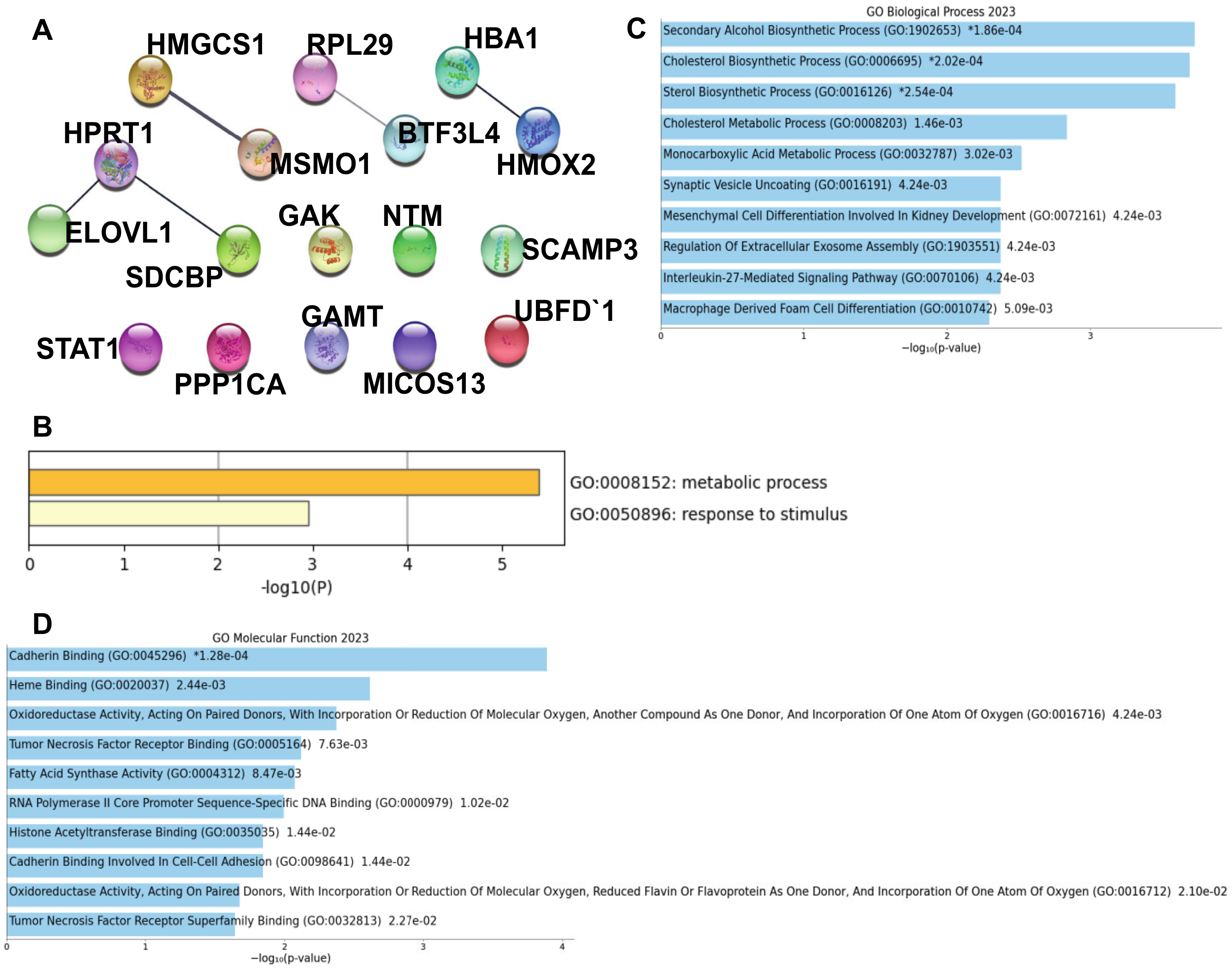 Biomolecules 13 01597 g004
