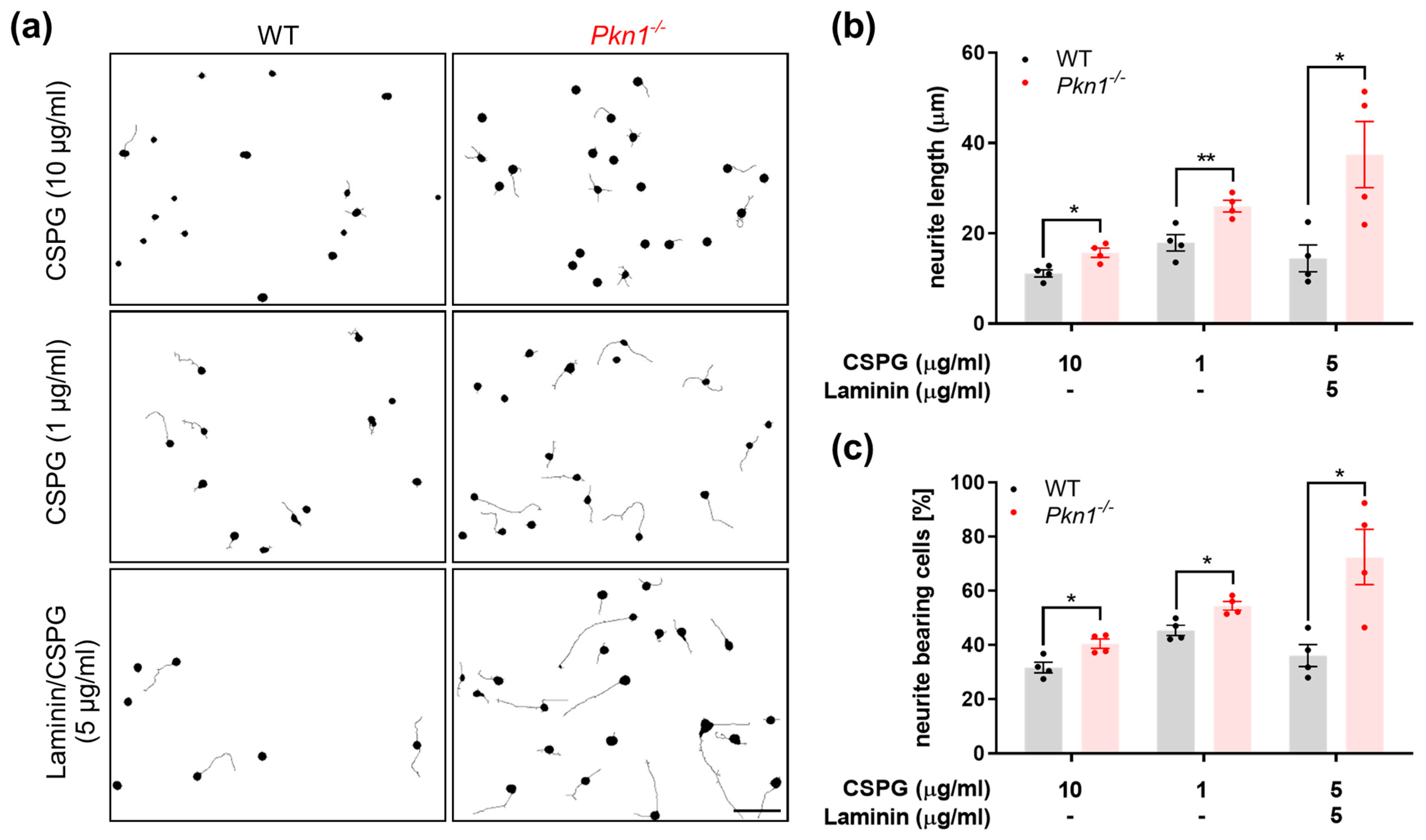Biomolecules 13 01599 g002 Biomolecules 13 01599 g002