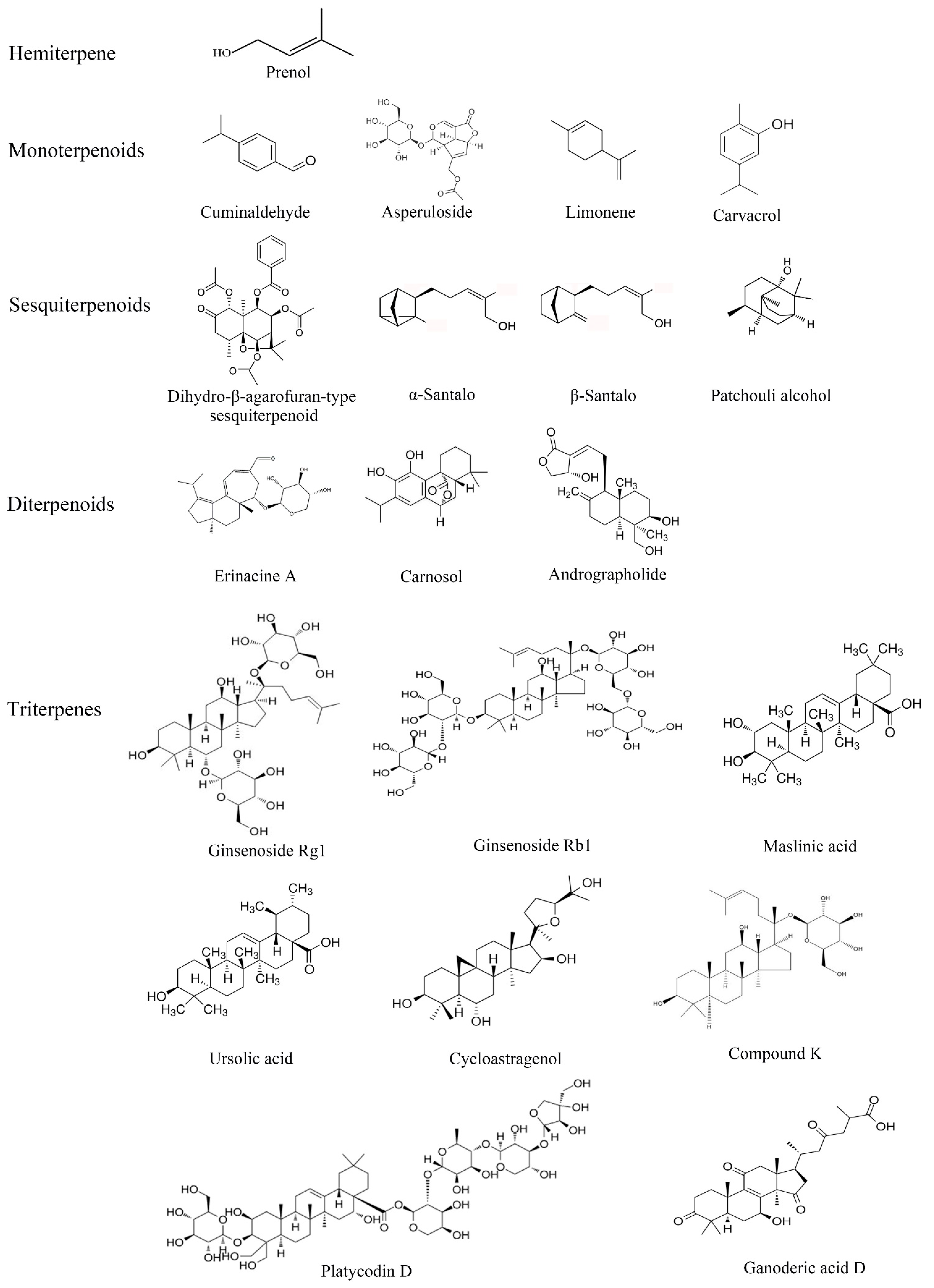 Biomolecules 13 01600 g002