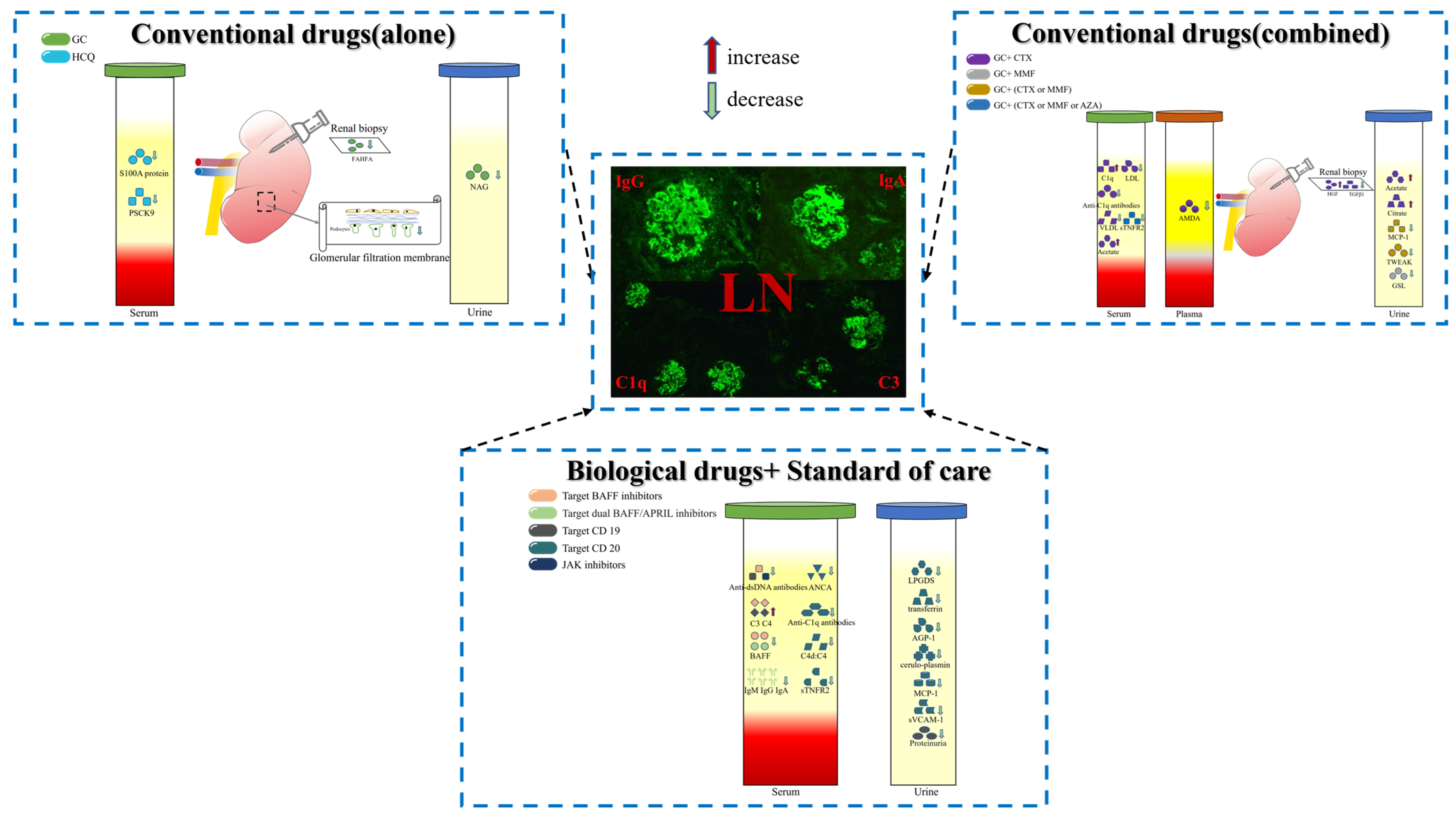Biomolecules 13 01601 g002