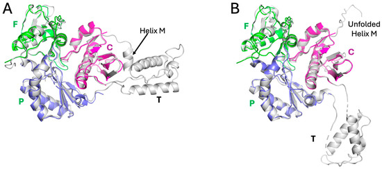Targeting the Structural Maturation Pathway of HIV-1 Reverse Targeting the Structural Maturation Pathway of HIV-1 Reverse