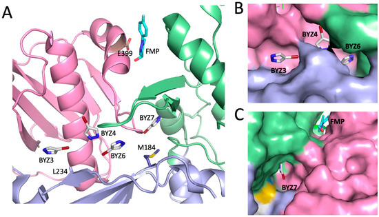Targeting the Structural Maturation Pathway of HIV-1 Reverse Targeting the Structural Maturation Pathway of HIV-1 Reverse