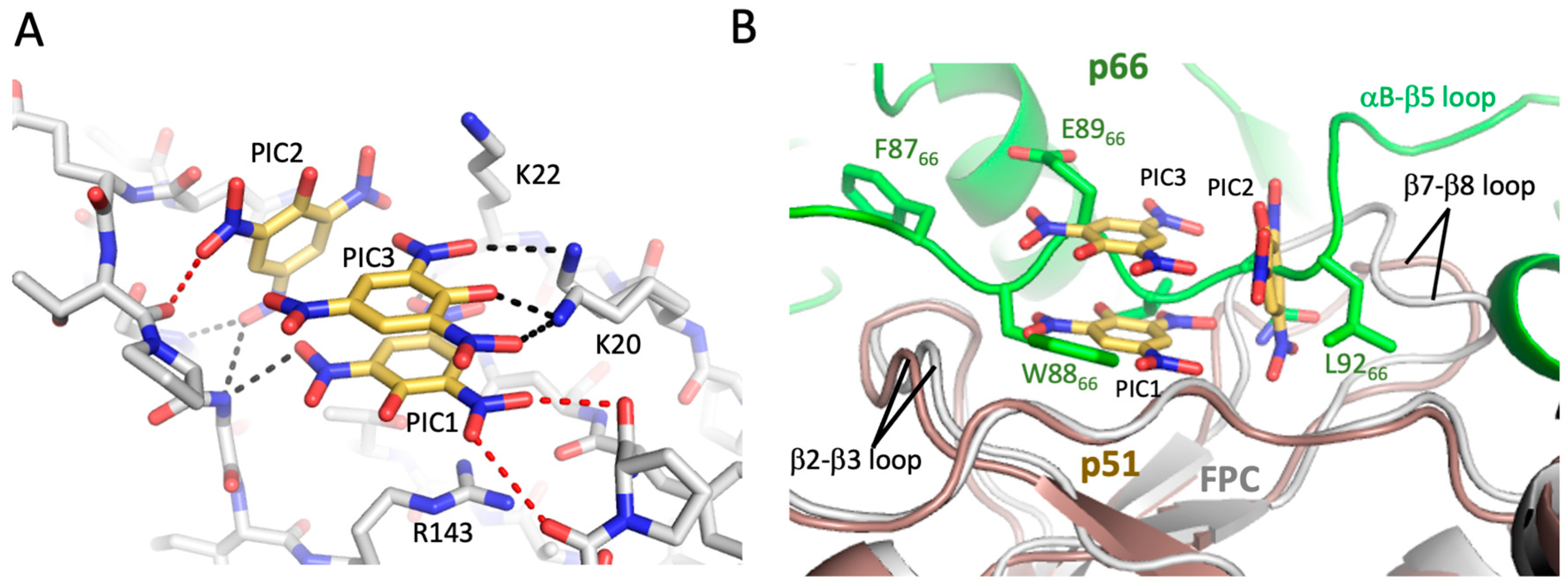 Biomolecules 13 01603 g007