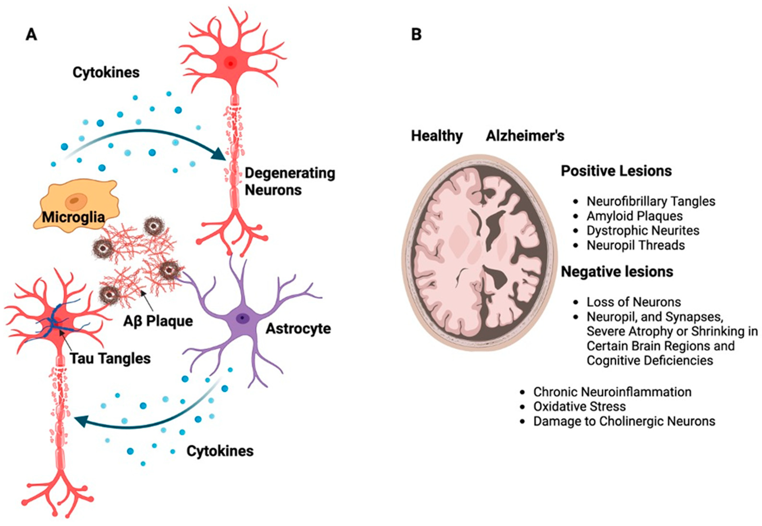 Biomolecules 13 01609 g002