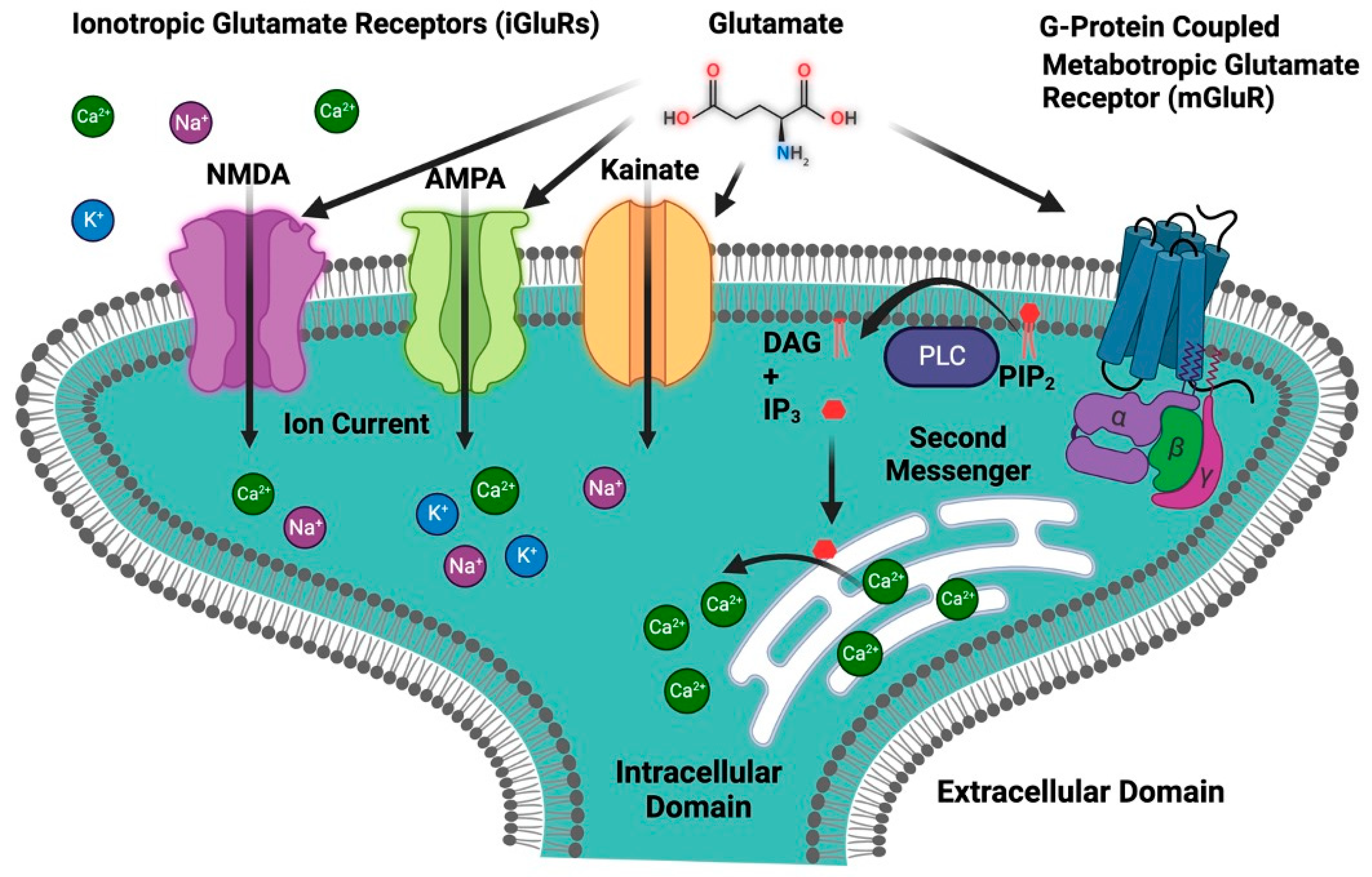 Biomolecules 13 01609 g003