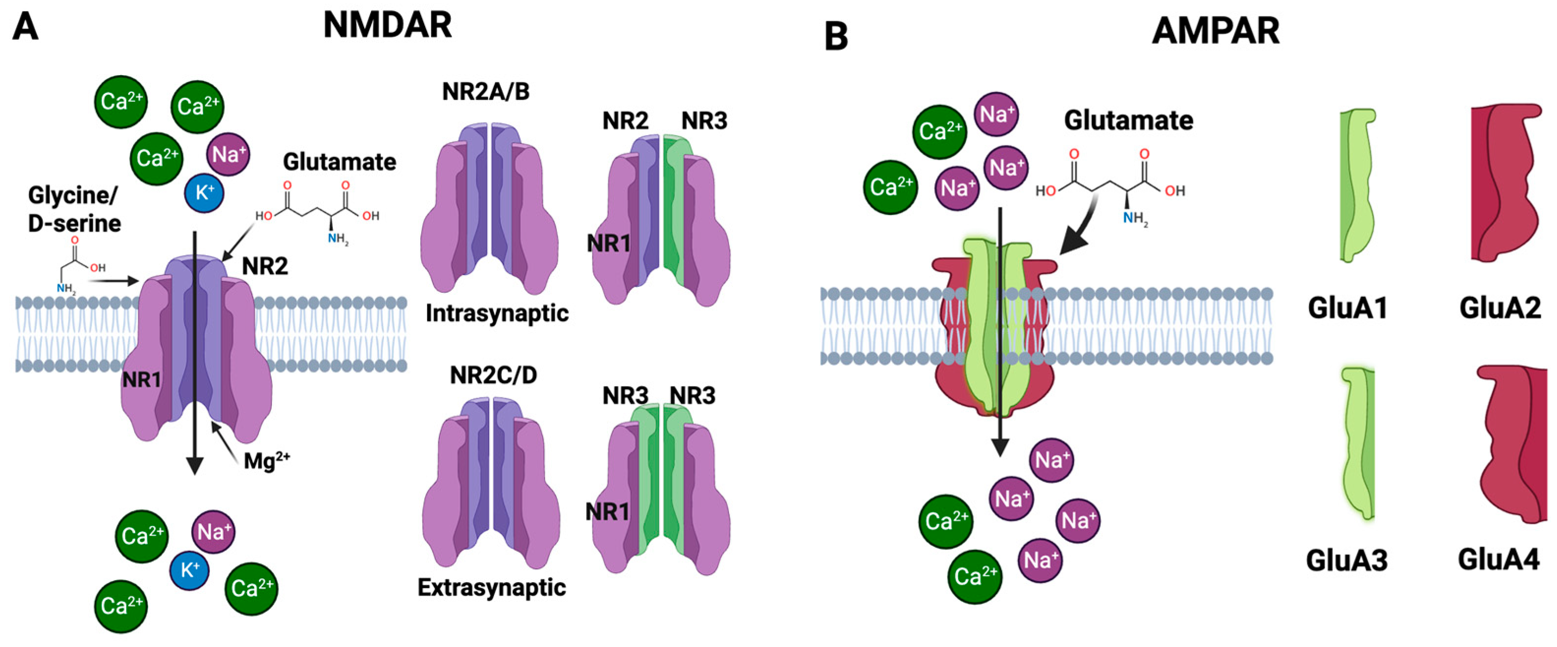 Biomolecules 13 01609 g004