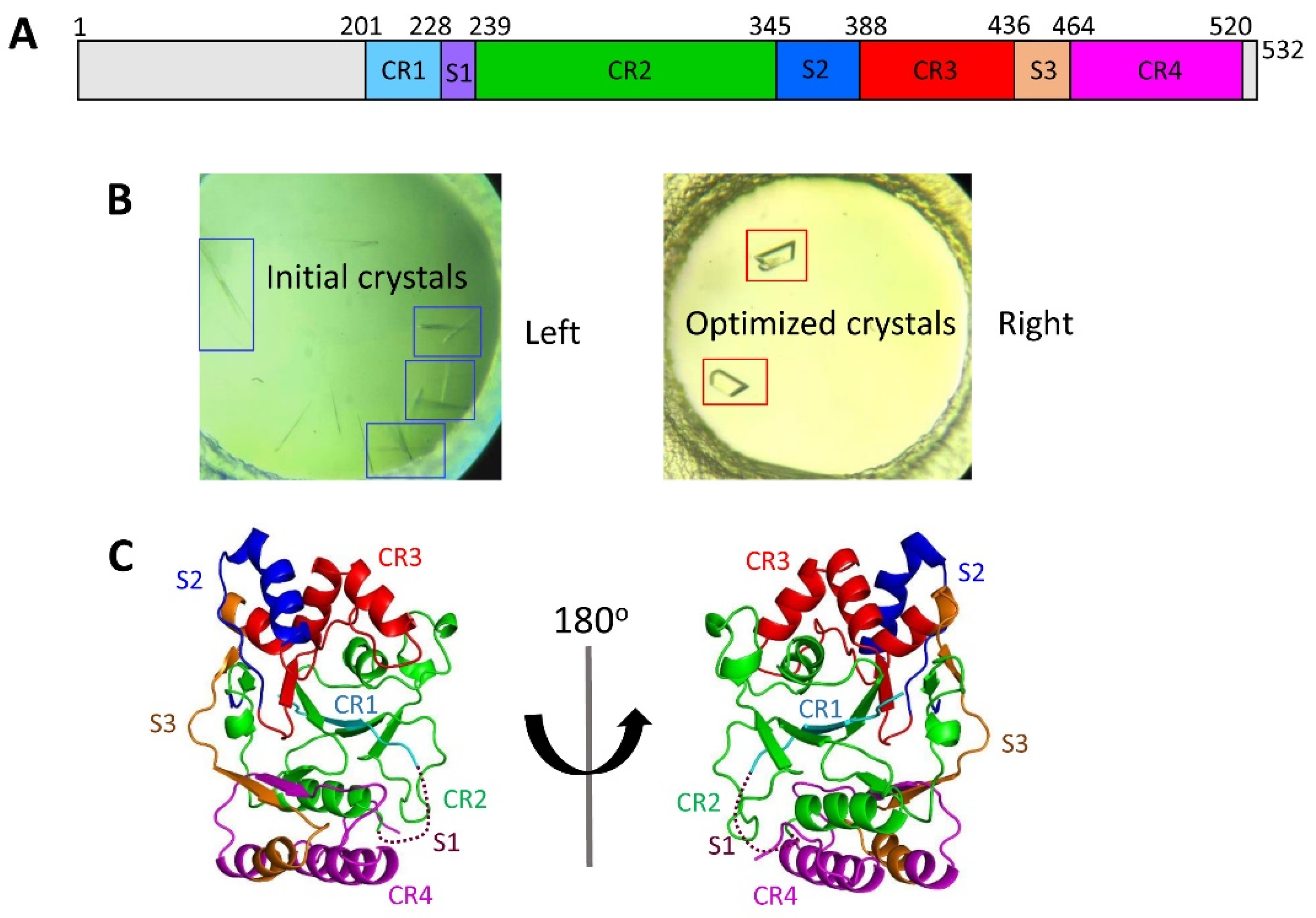 Biomolecules 13 01611 g001 Biomolecules 13 01611 g001