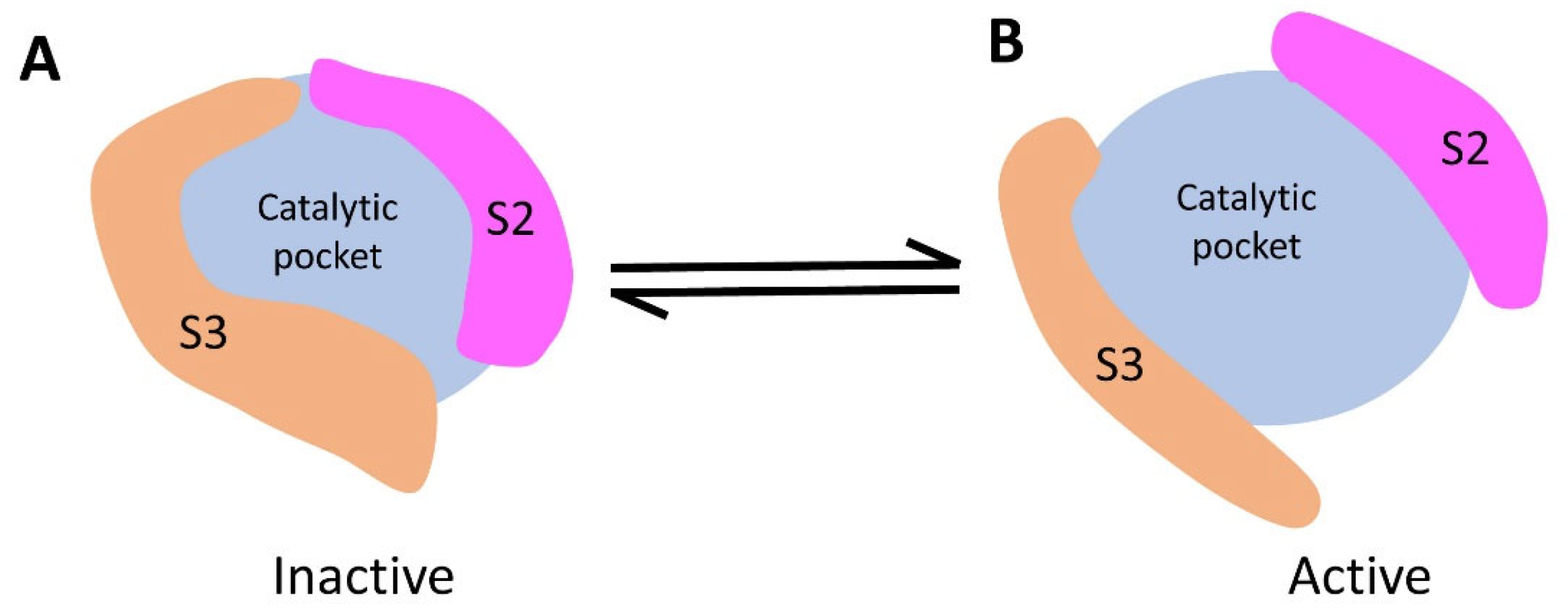 Biomolecules 13 01611 g008 Biomolecules 13 01611 g008