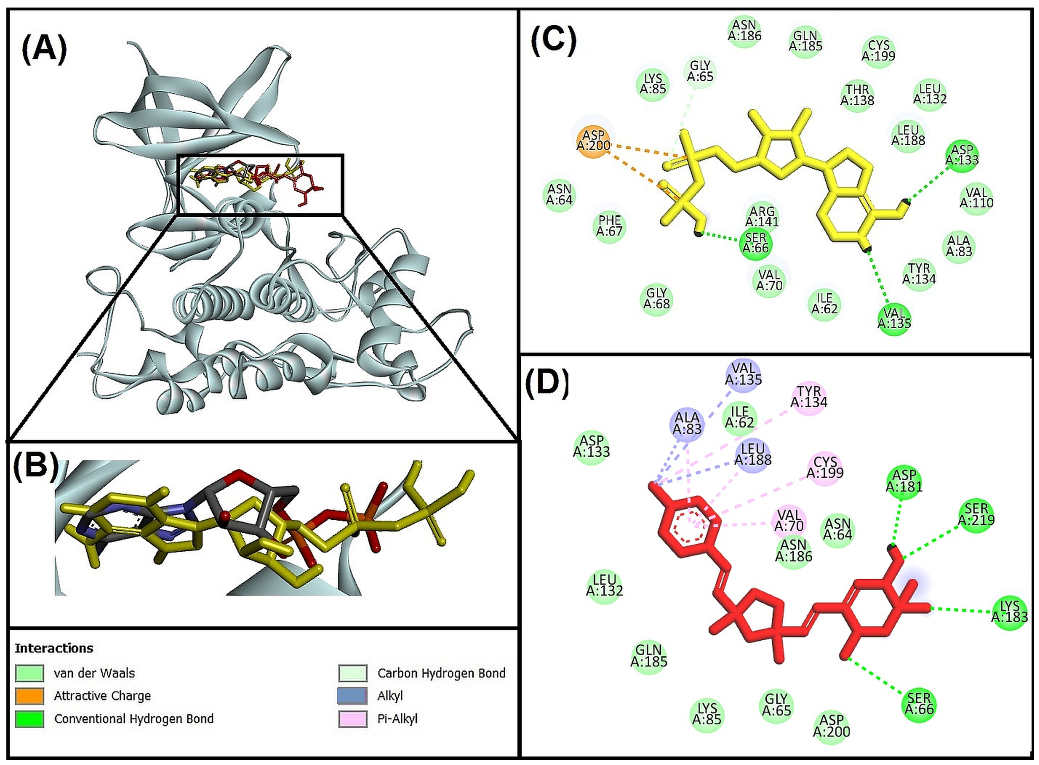 Biomolecules 13 01613 g004