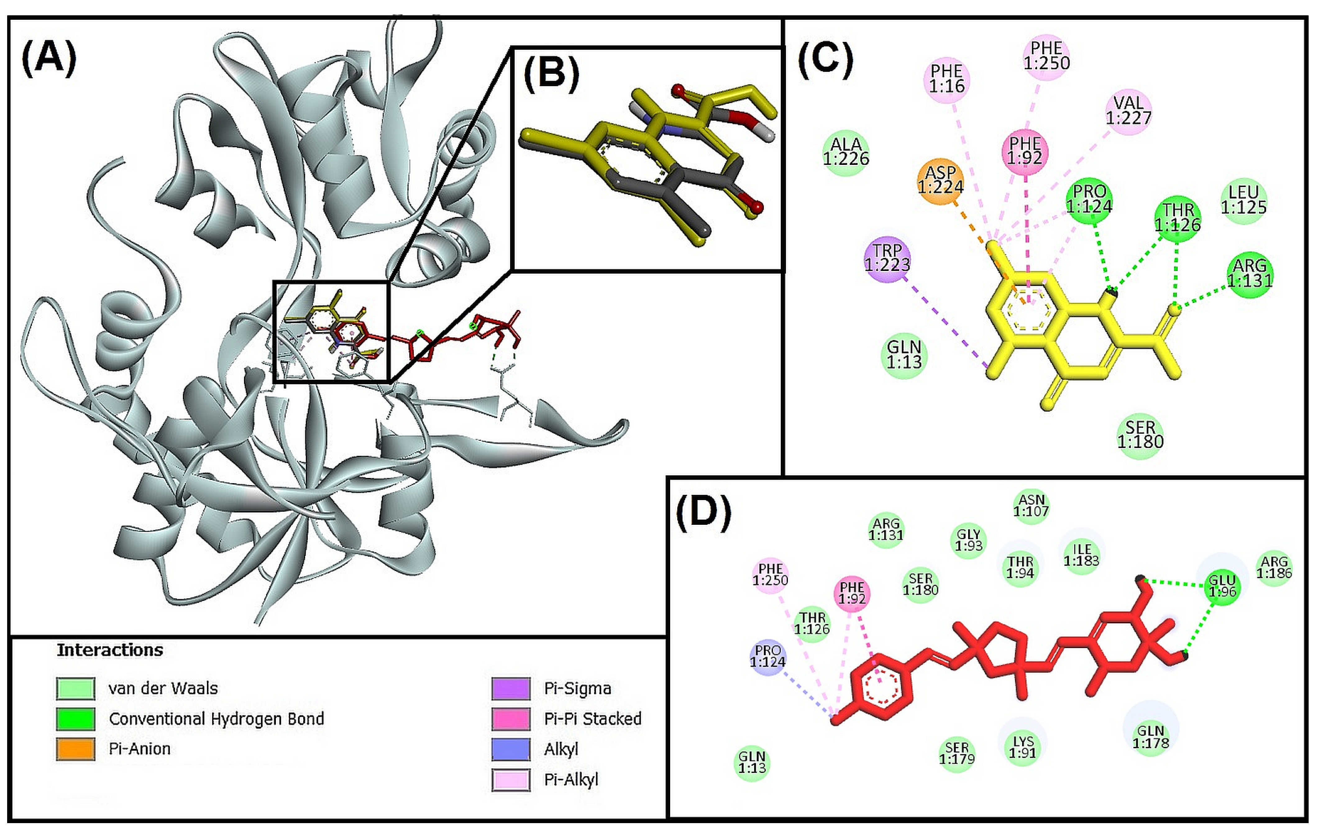 Biomolecules 13 01613 g005