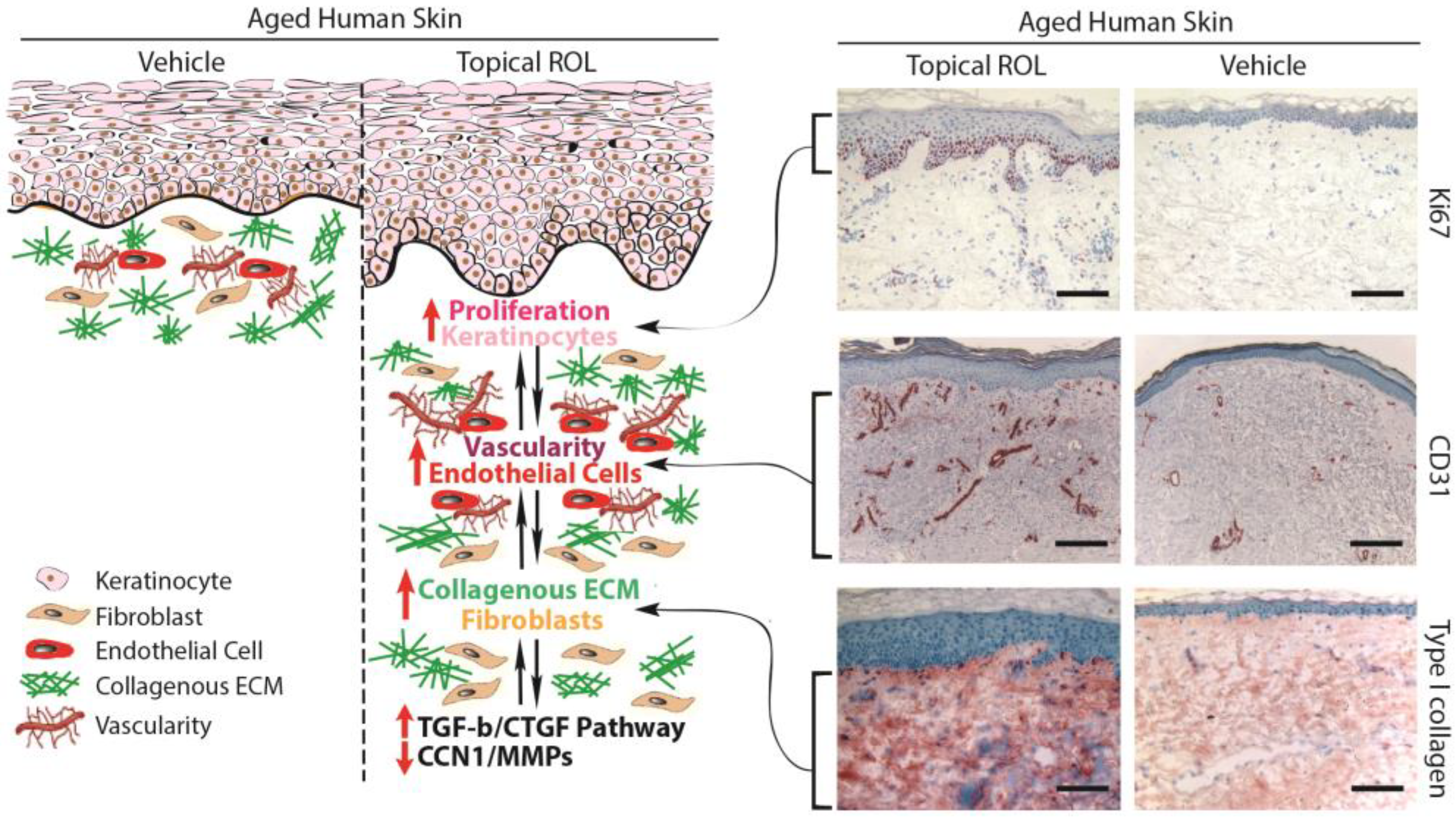 Biomolecules 13 01614 g003