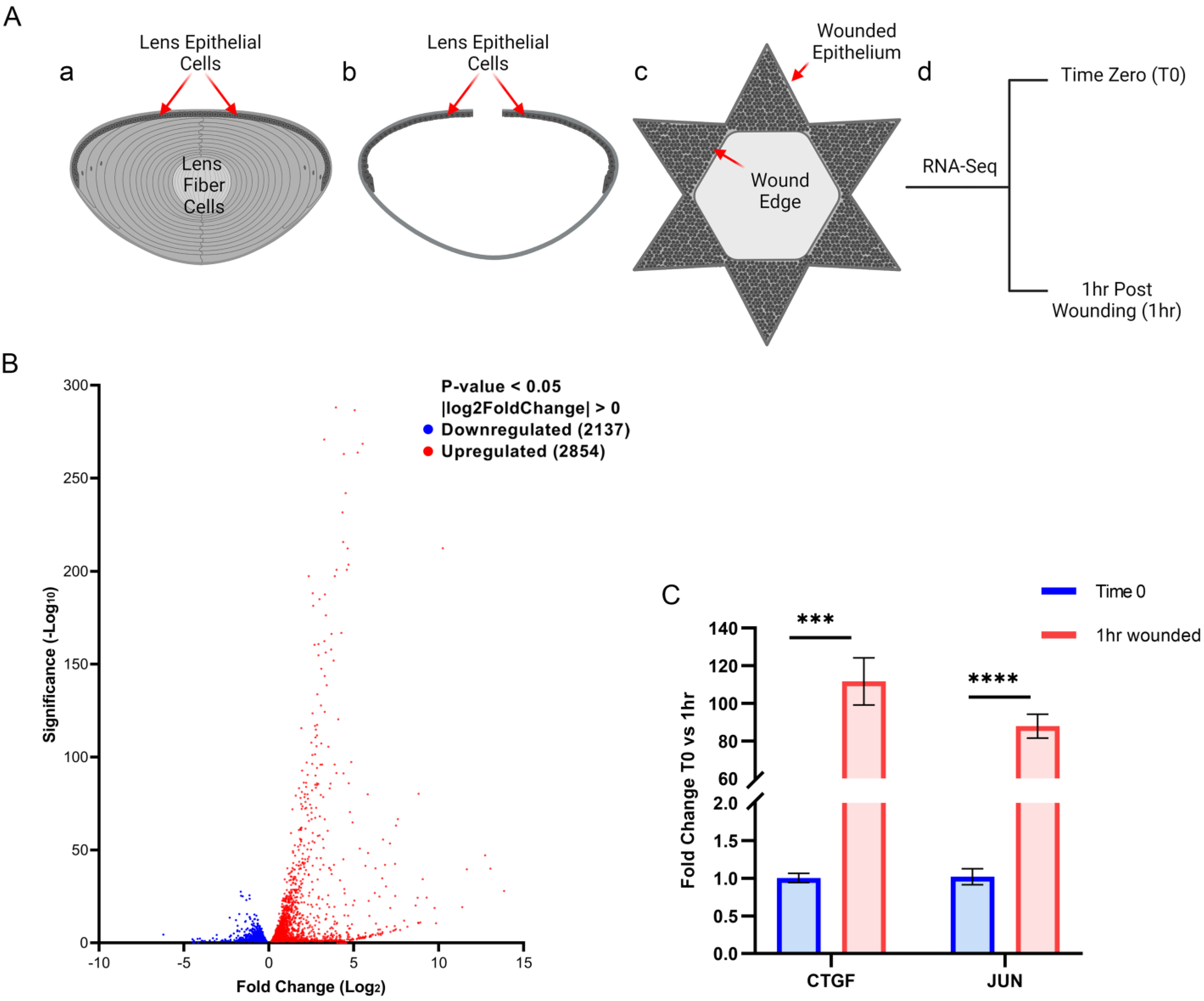 Biomolecules 13 01615 g001