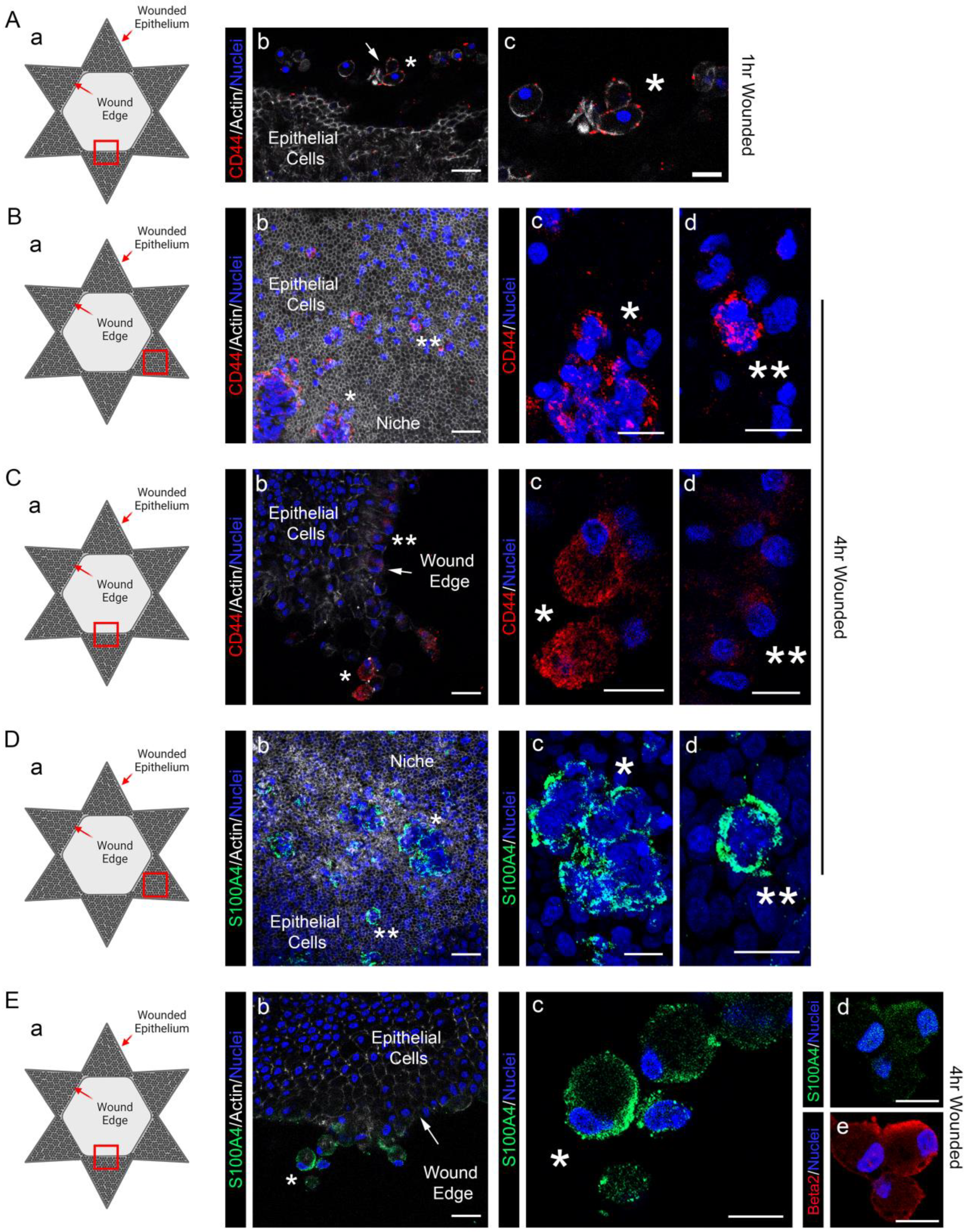 Biomolecules 13 01615 g006