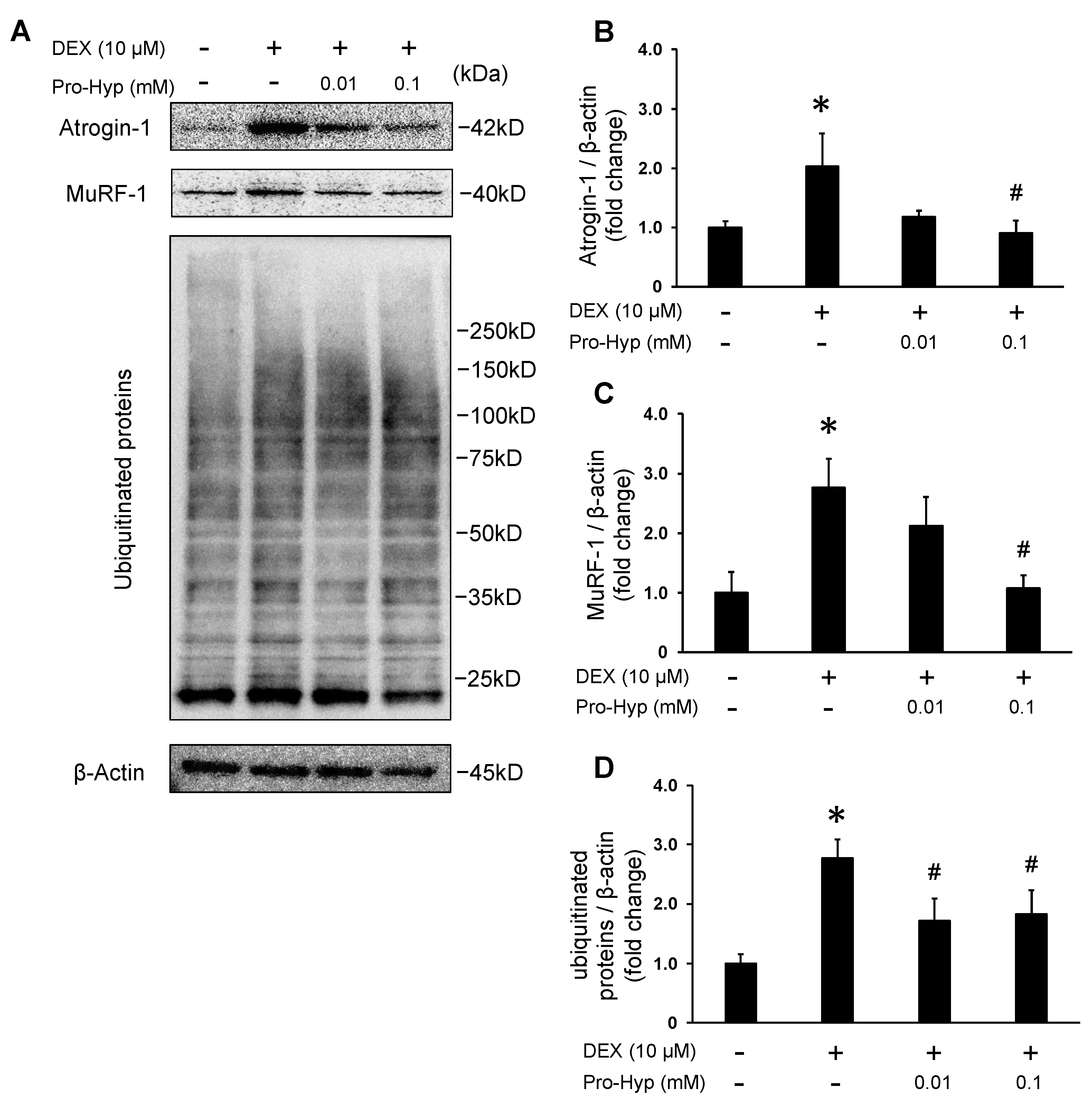 Biomolecules 13 01617 g003