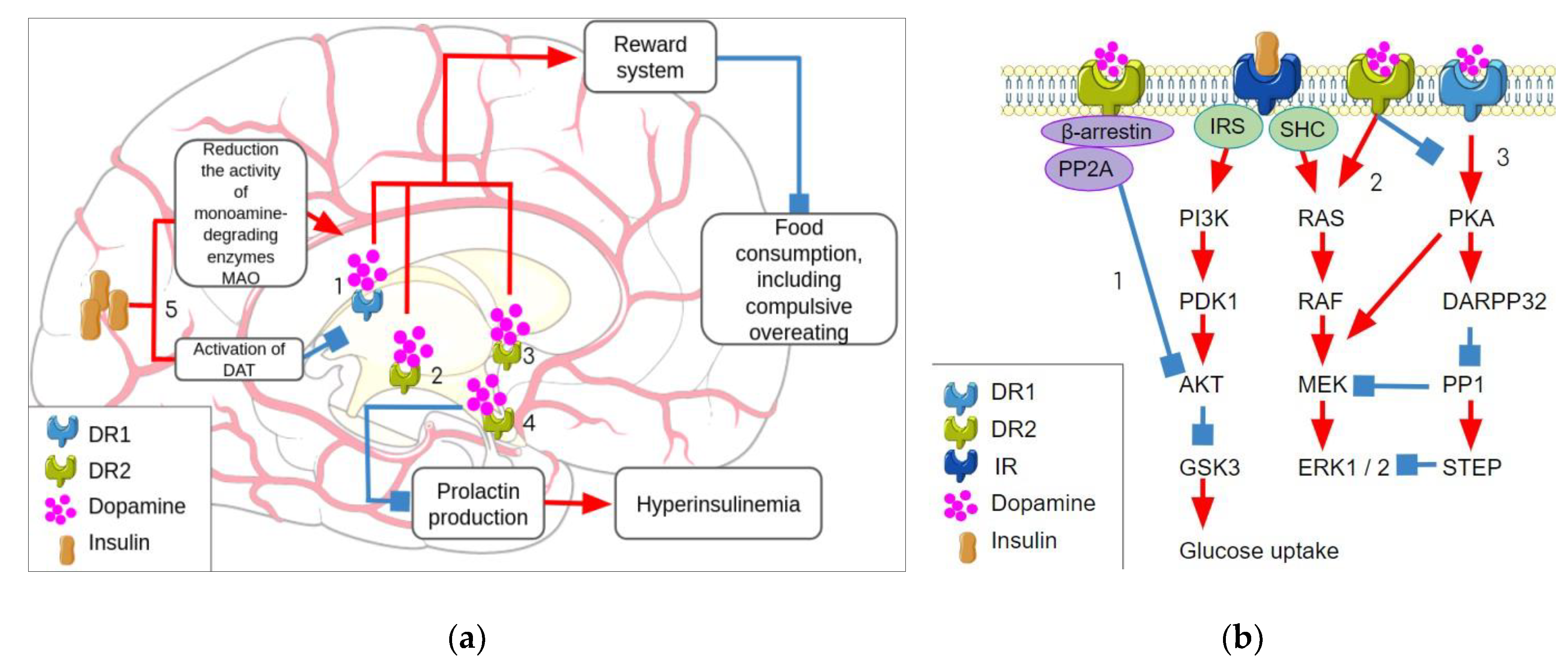 Biomolecules 13 01618 g002