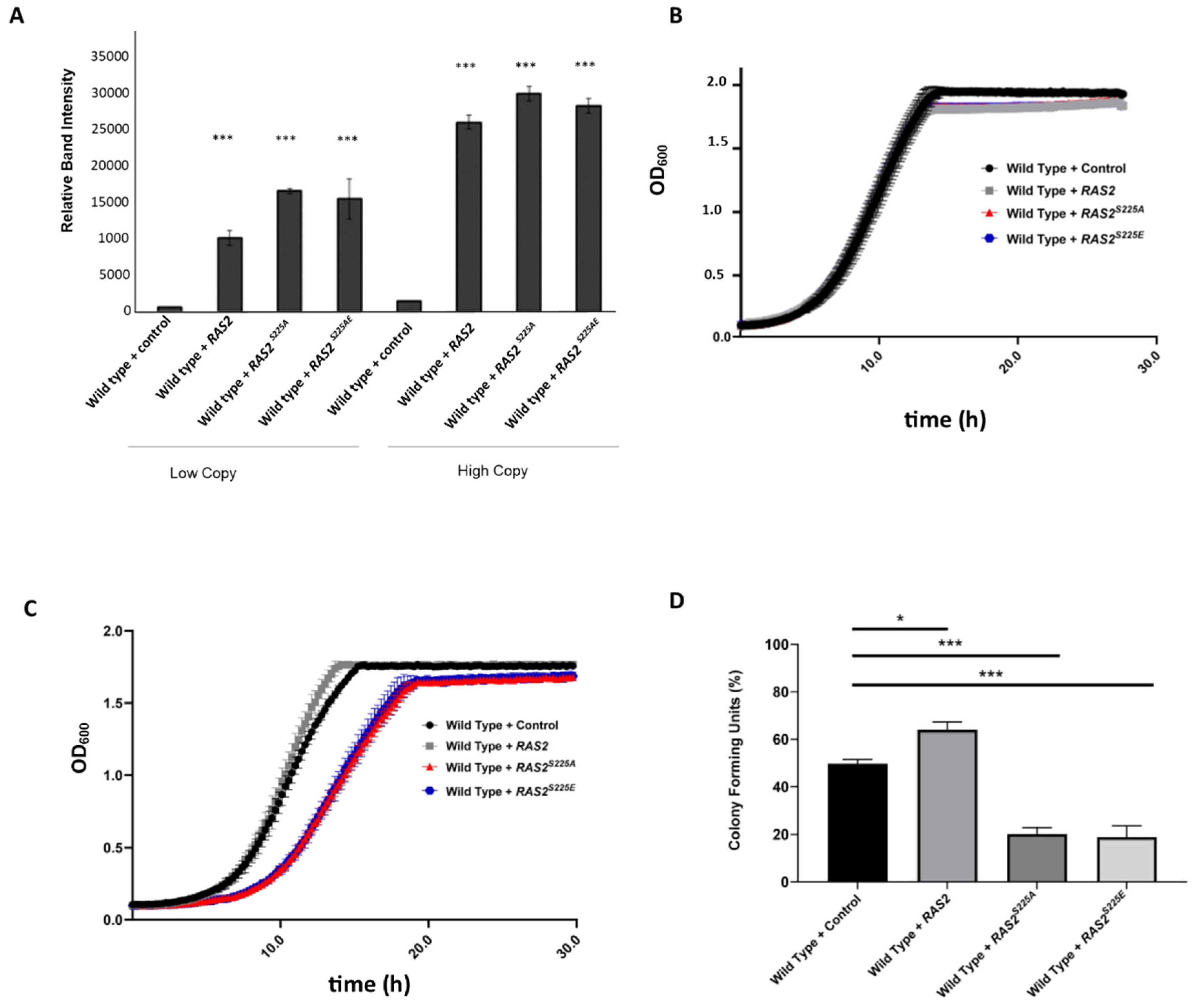 Biomolecules 13 01619 g001