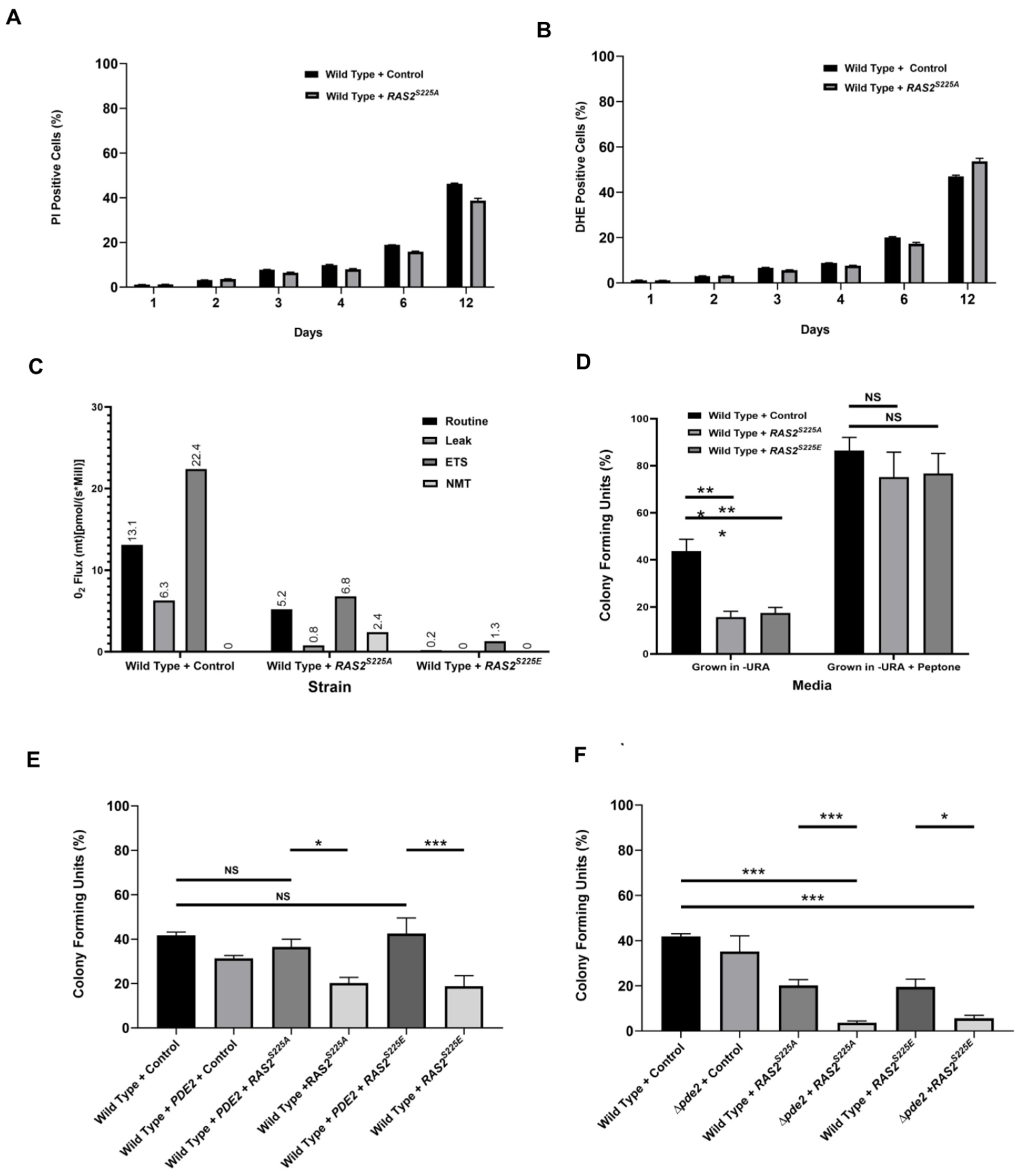 Biomolecules 13 01619 g003