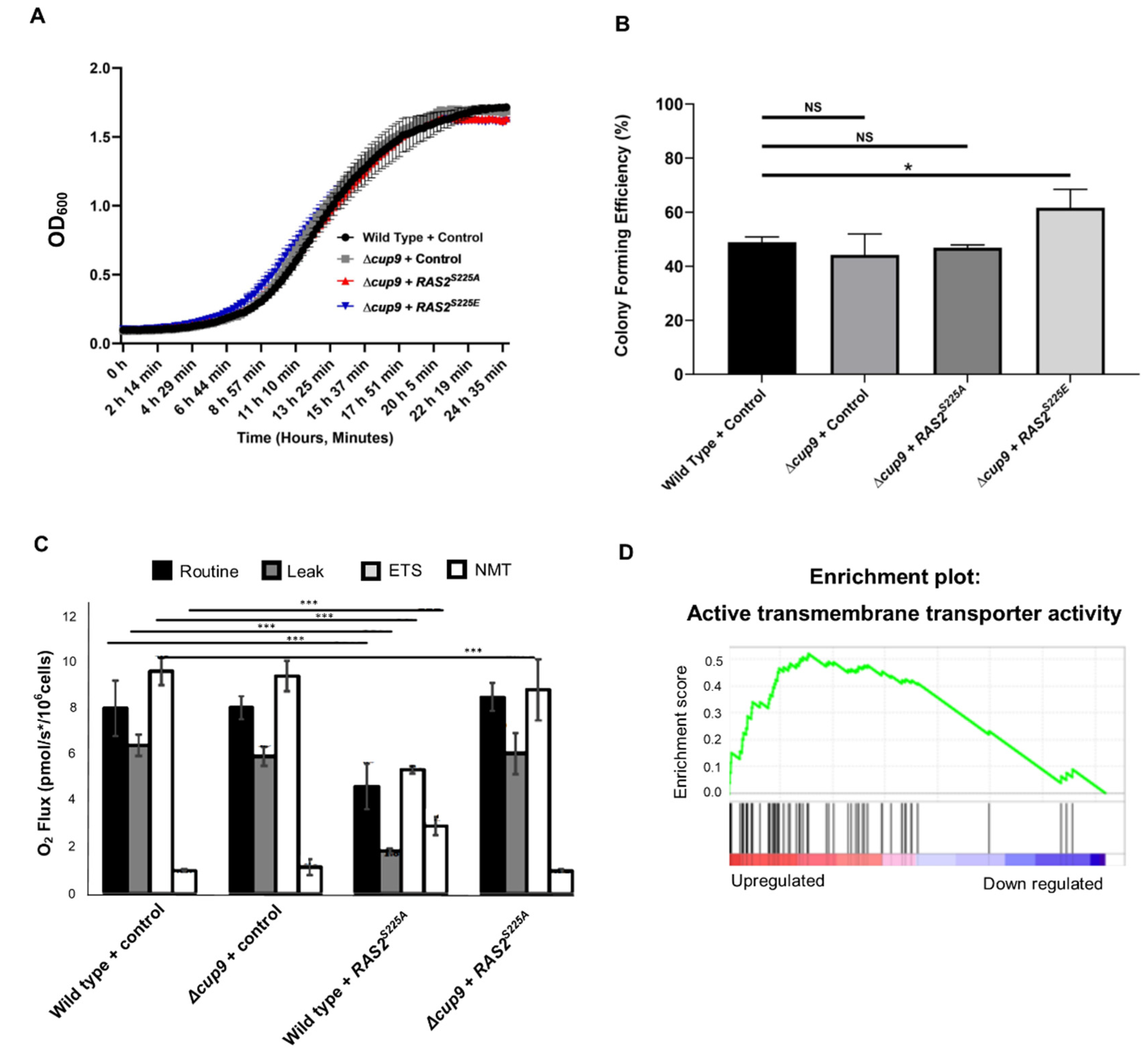 Biomolecules 13 01619 g005
