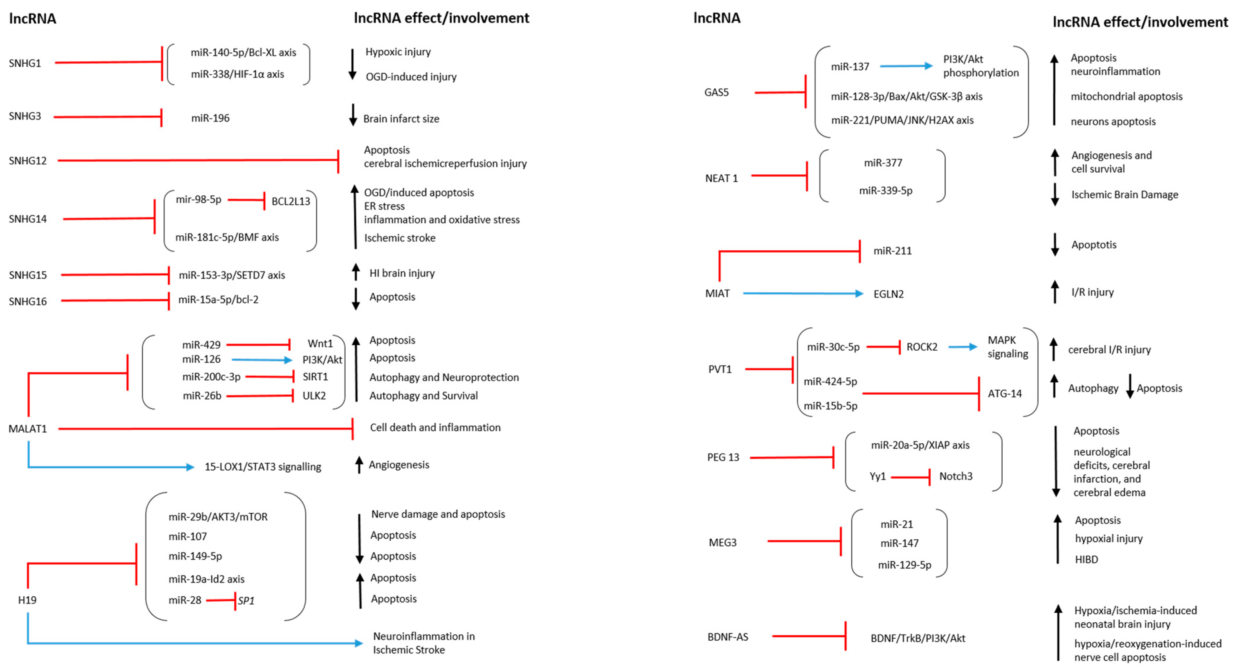 Biomolecules 13 01622 g002