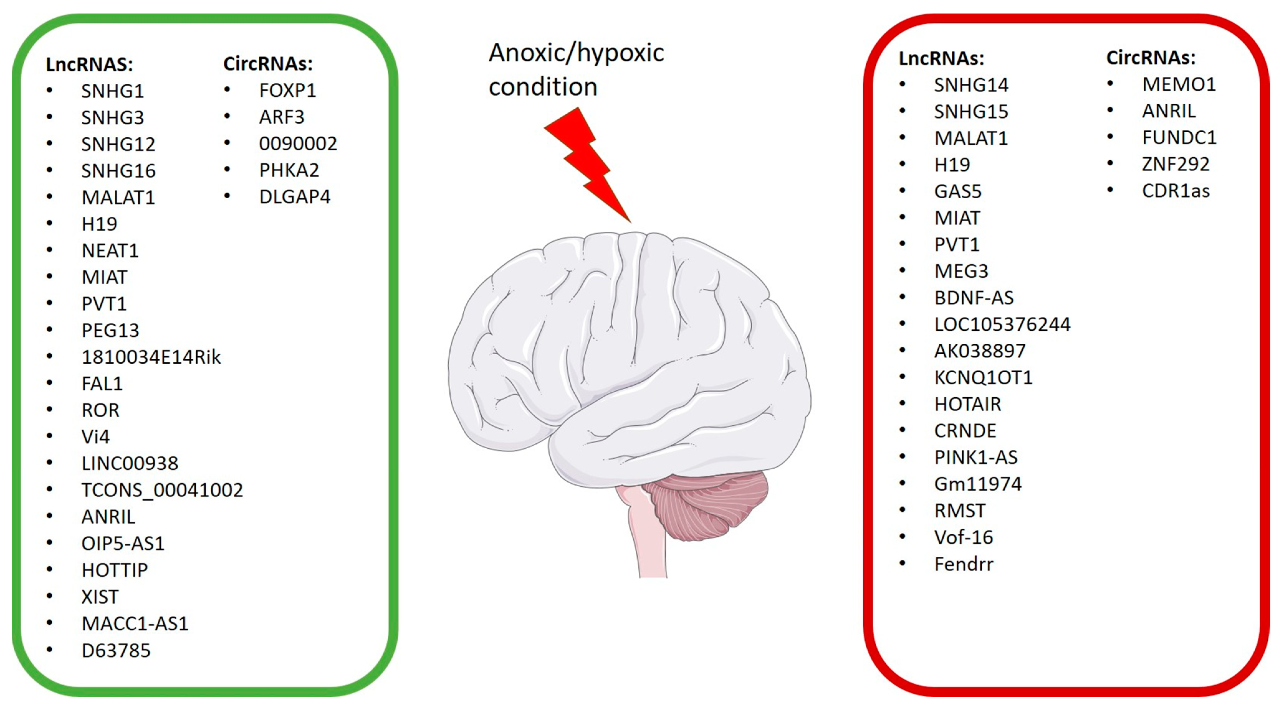 Biomolecules 13 01622 g003