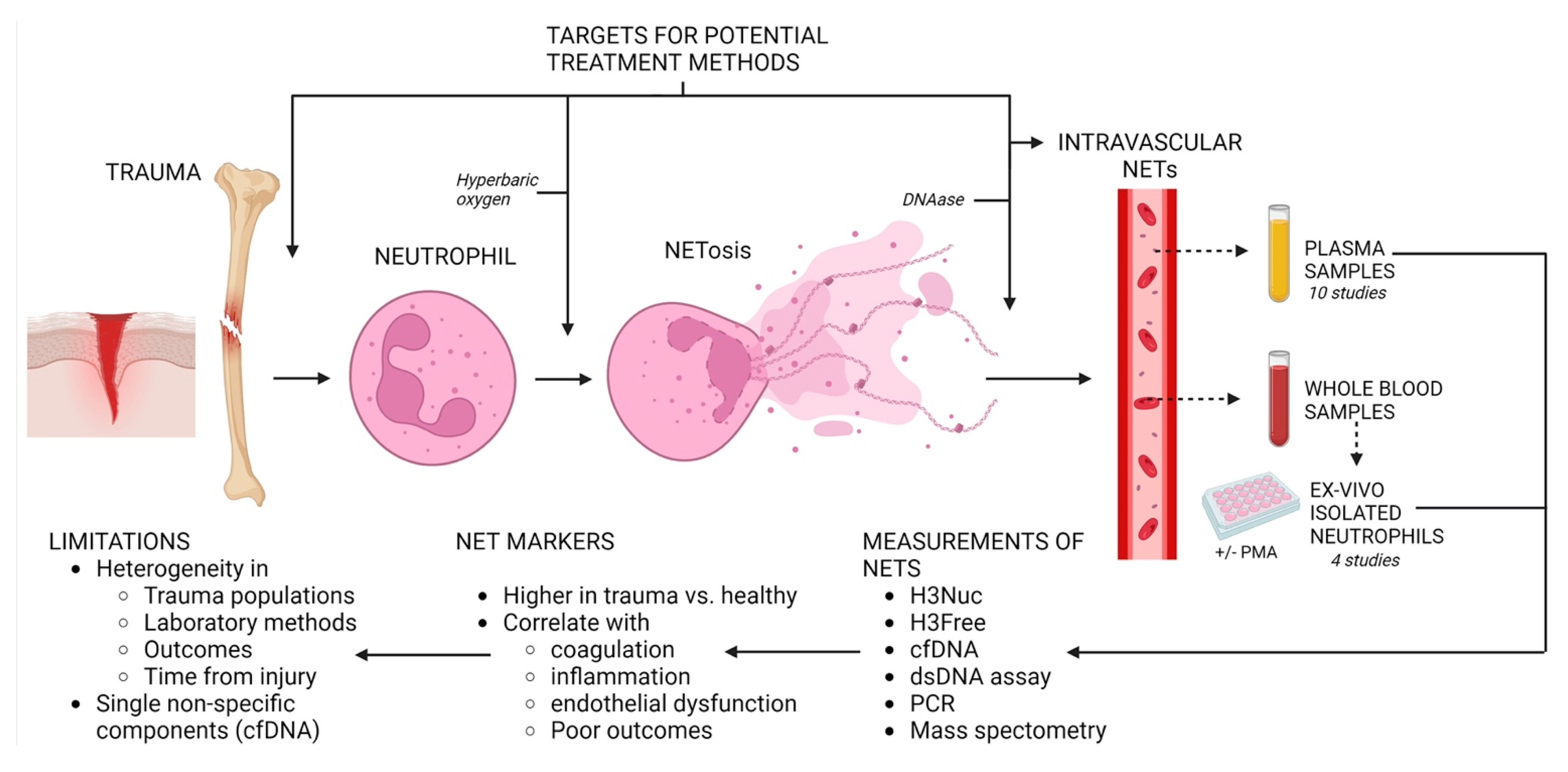 Biomolecules 13 01625 g002