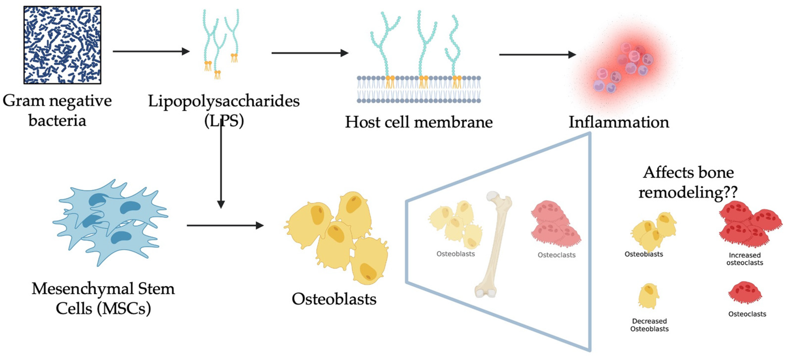 Biomolecules 13 01626 g001