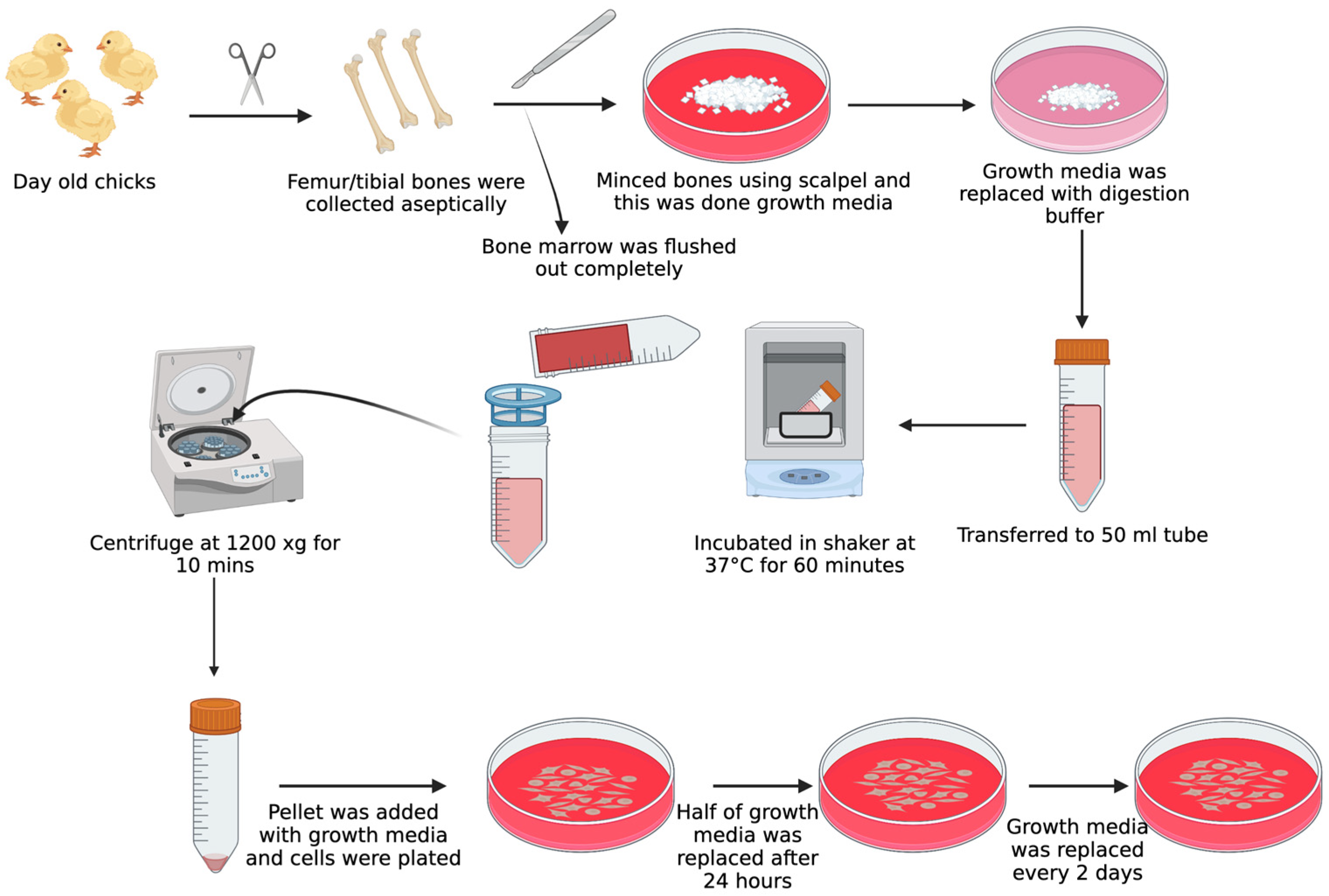 Biomolecules 13 01626 g002