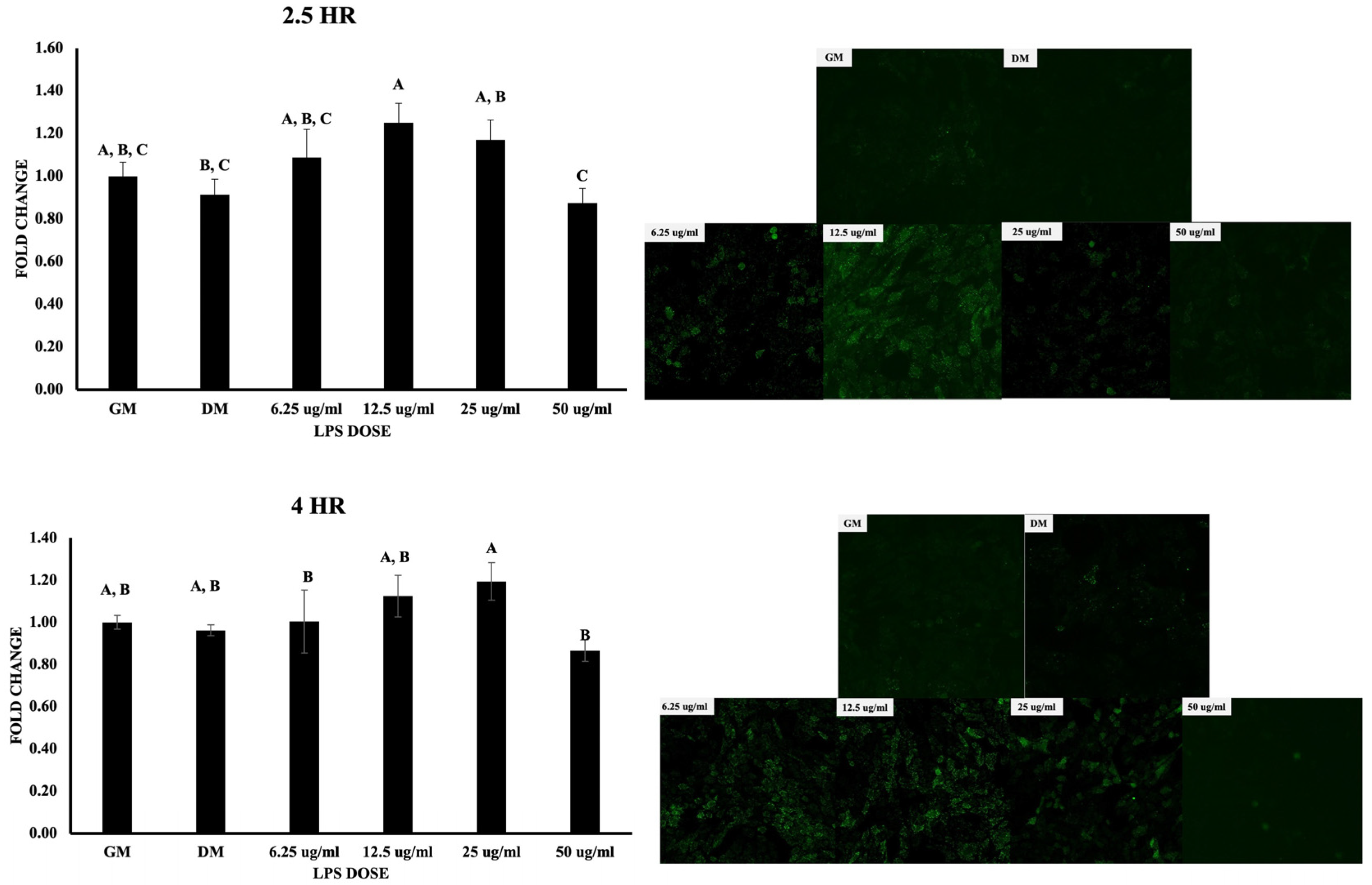 Biomolecules 13 01626 g005