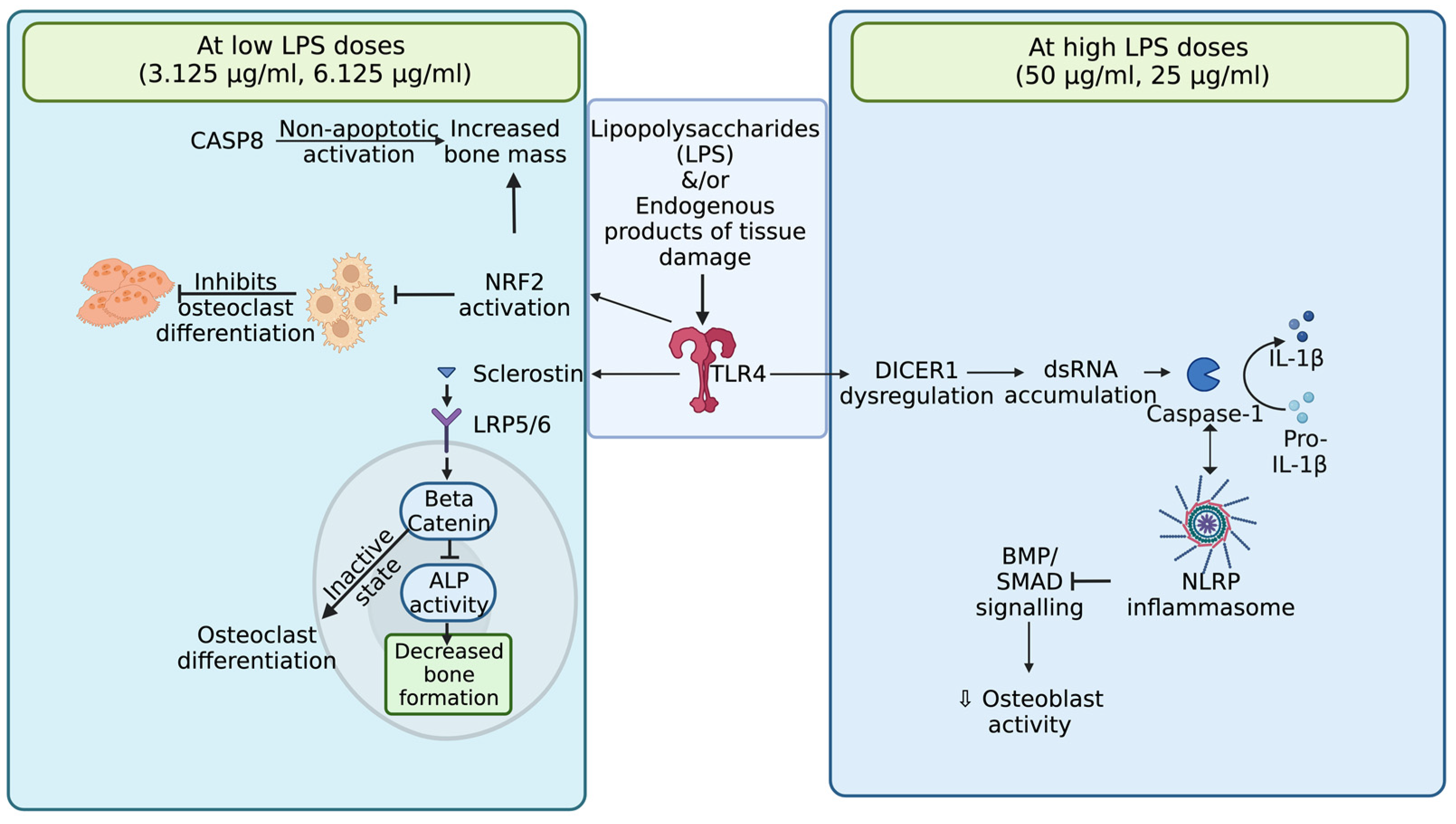 Biomolecules 13 01626 g010