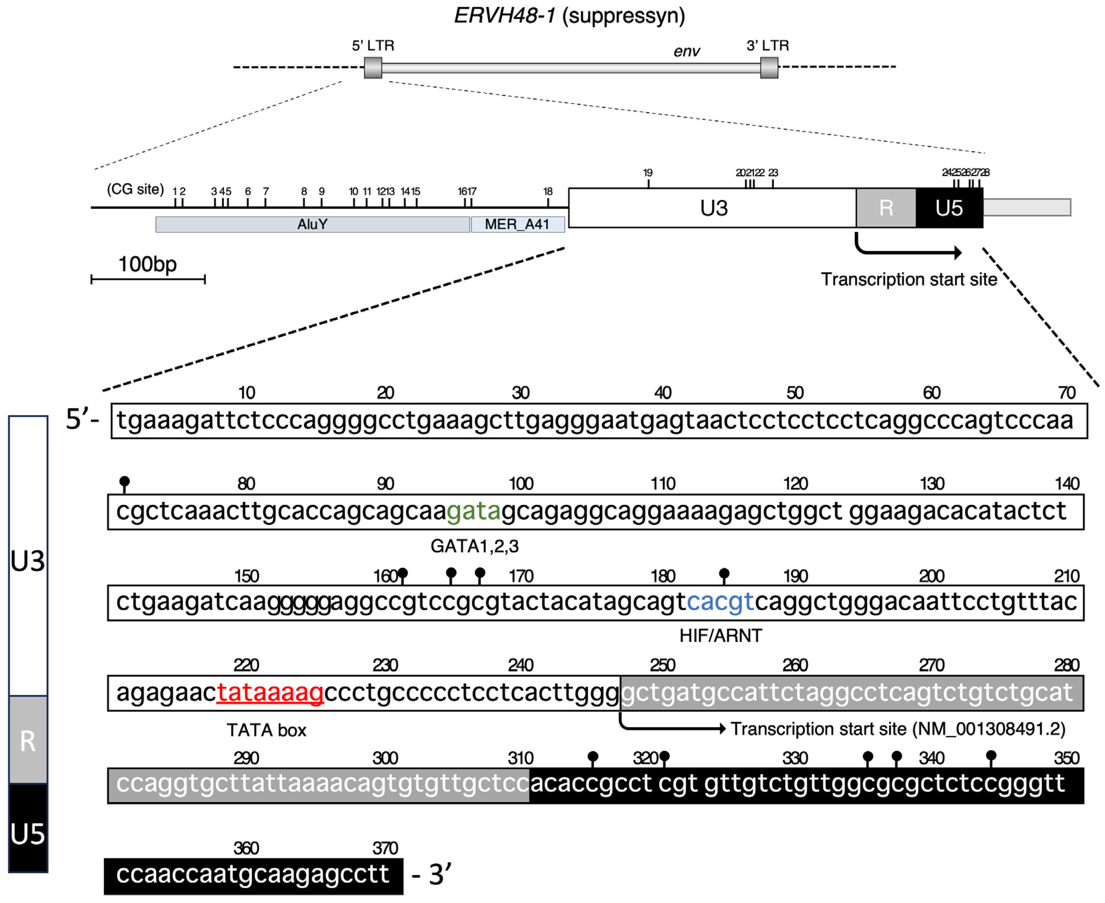 Biomolecules 13 01627 g001