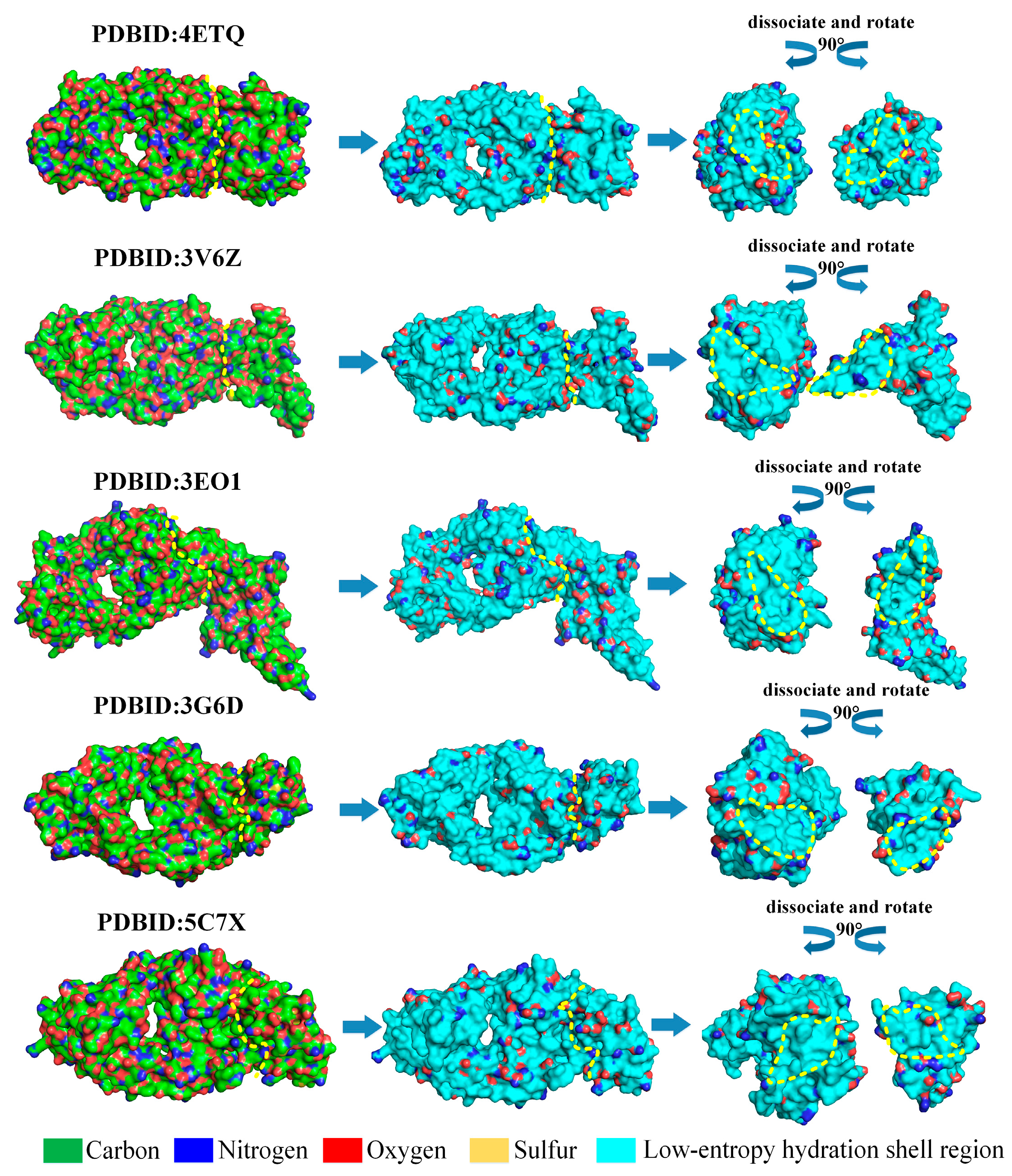 Biomolecules 13 01628 g005