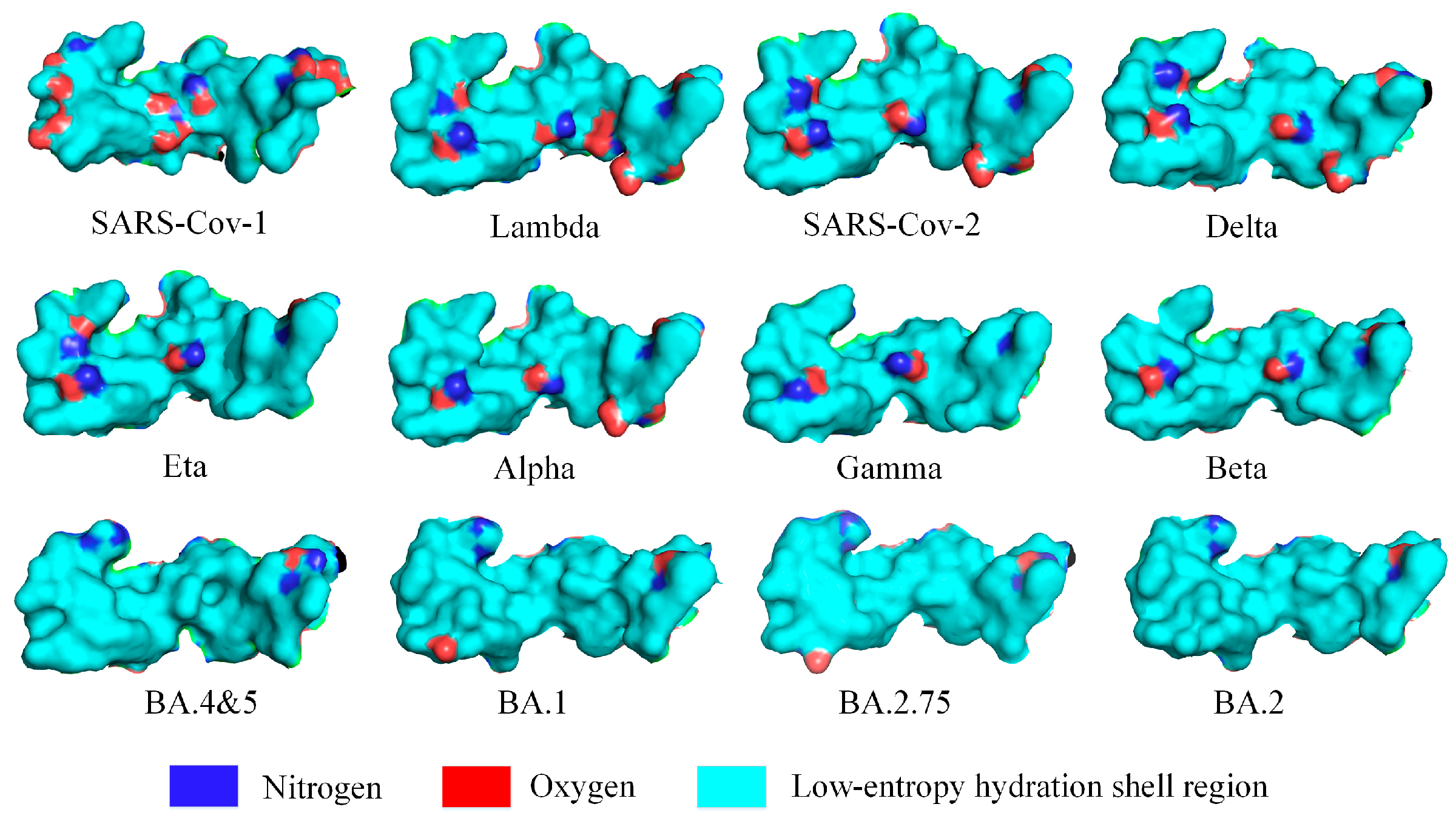 Biomolecules 13 01628 g006