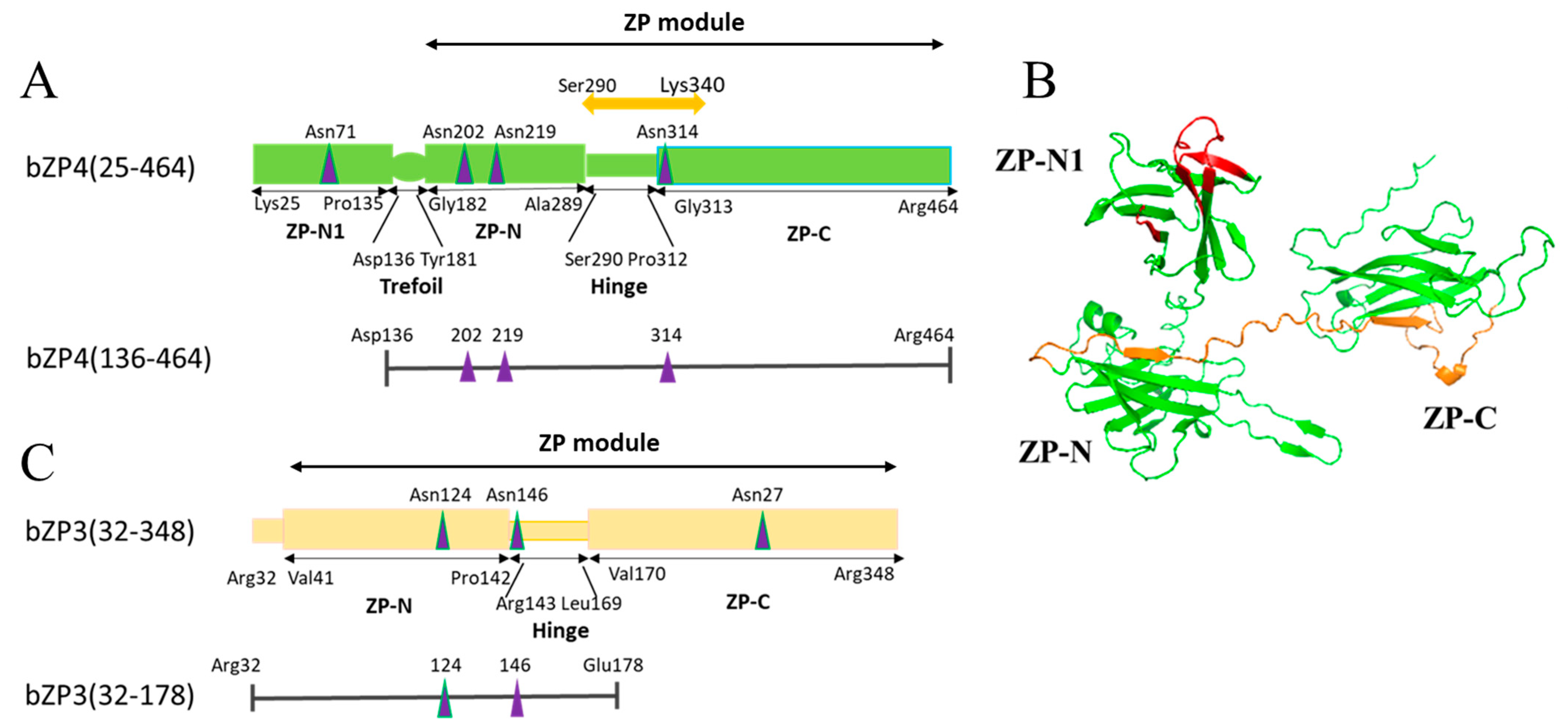 Biomolecules 13 01636 g001
