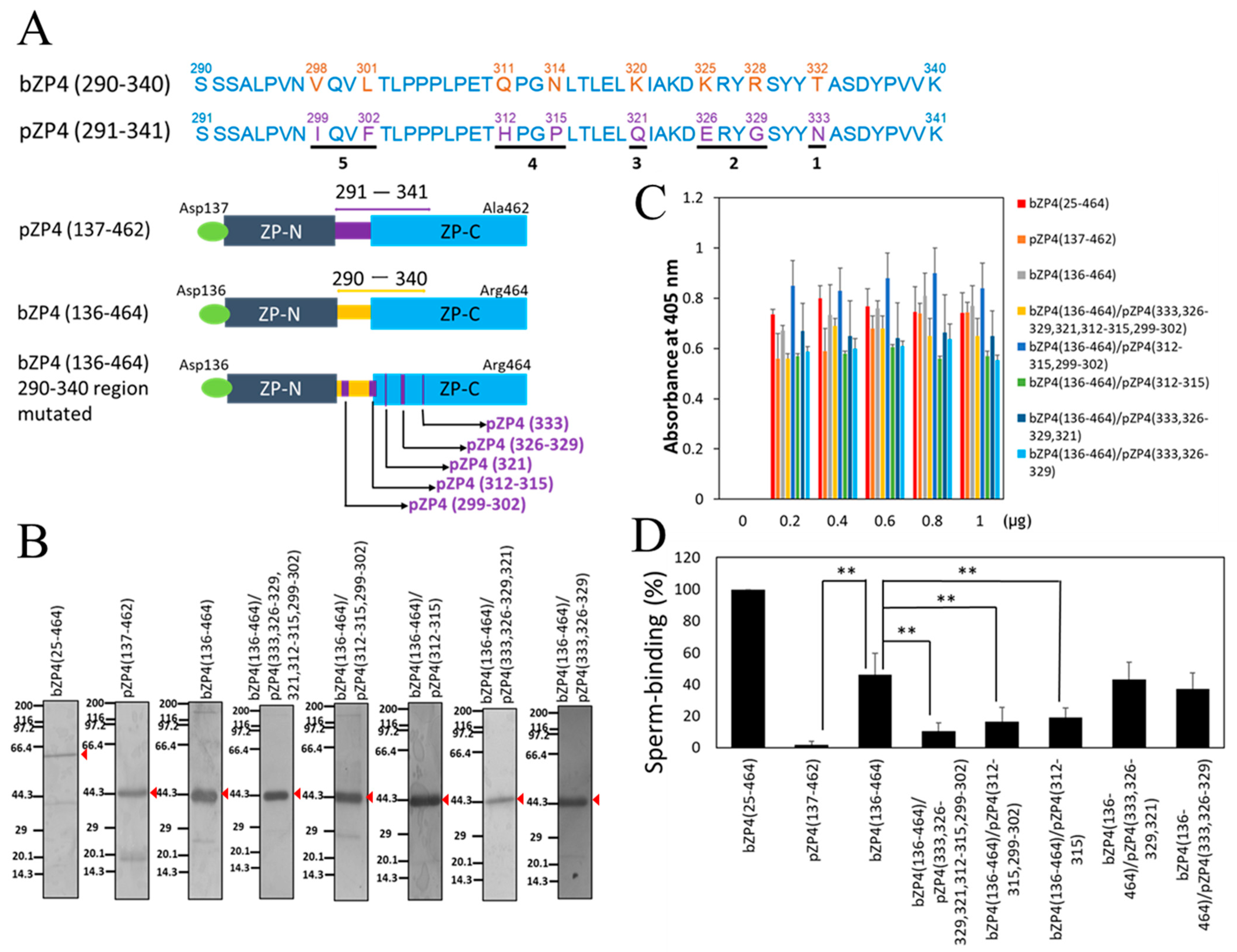 Biomolecules 13 01636 g002