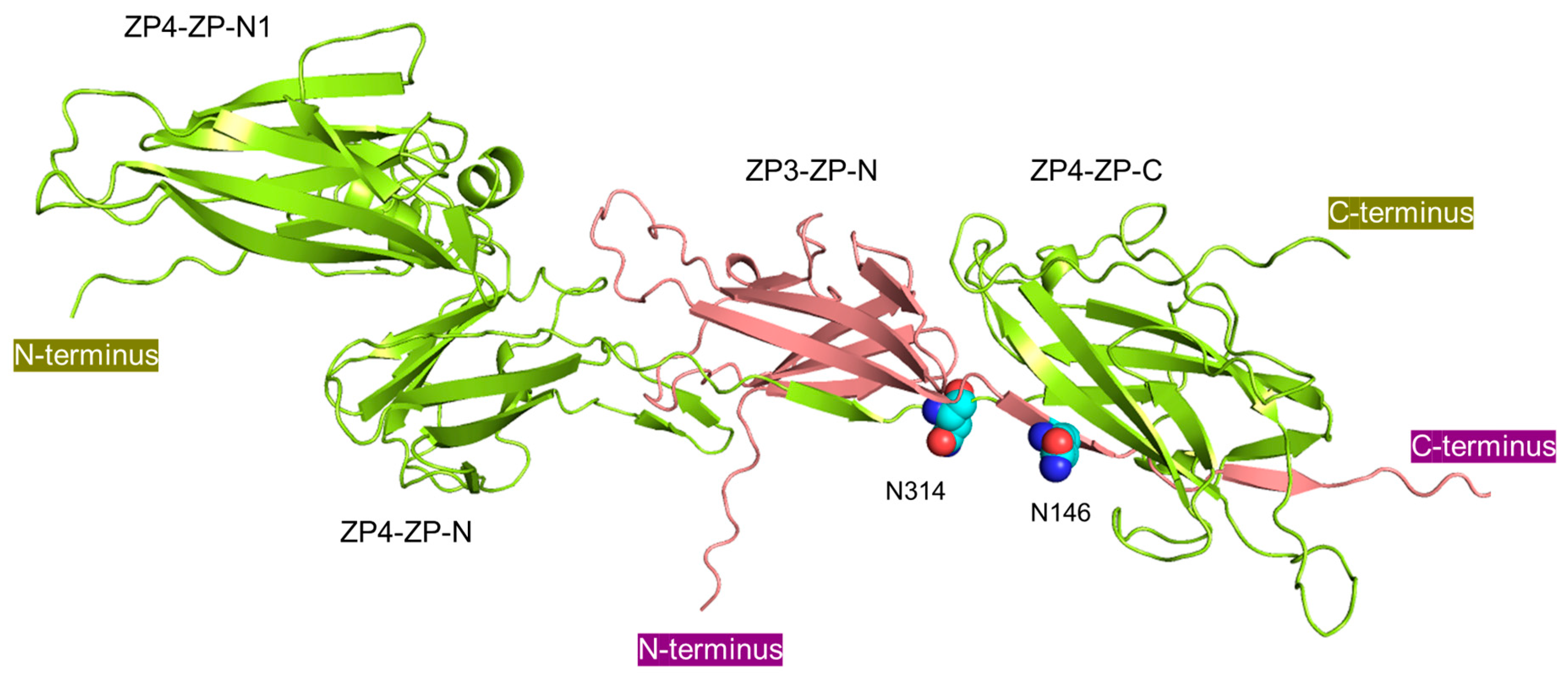Biomolecules 13 01636 g005