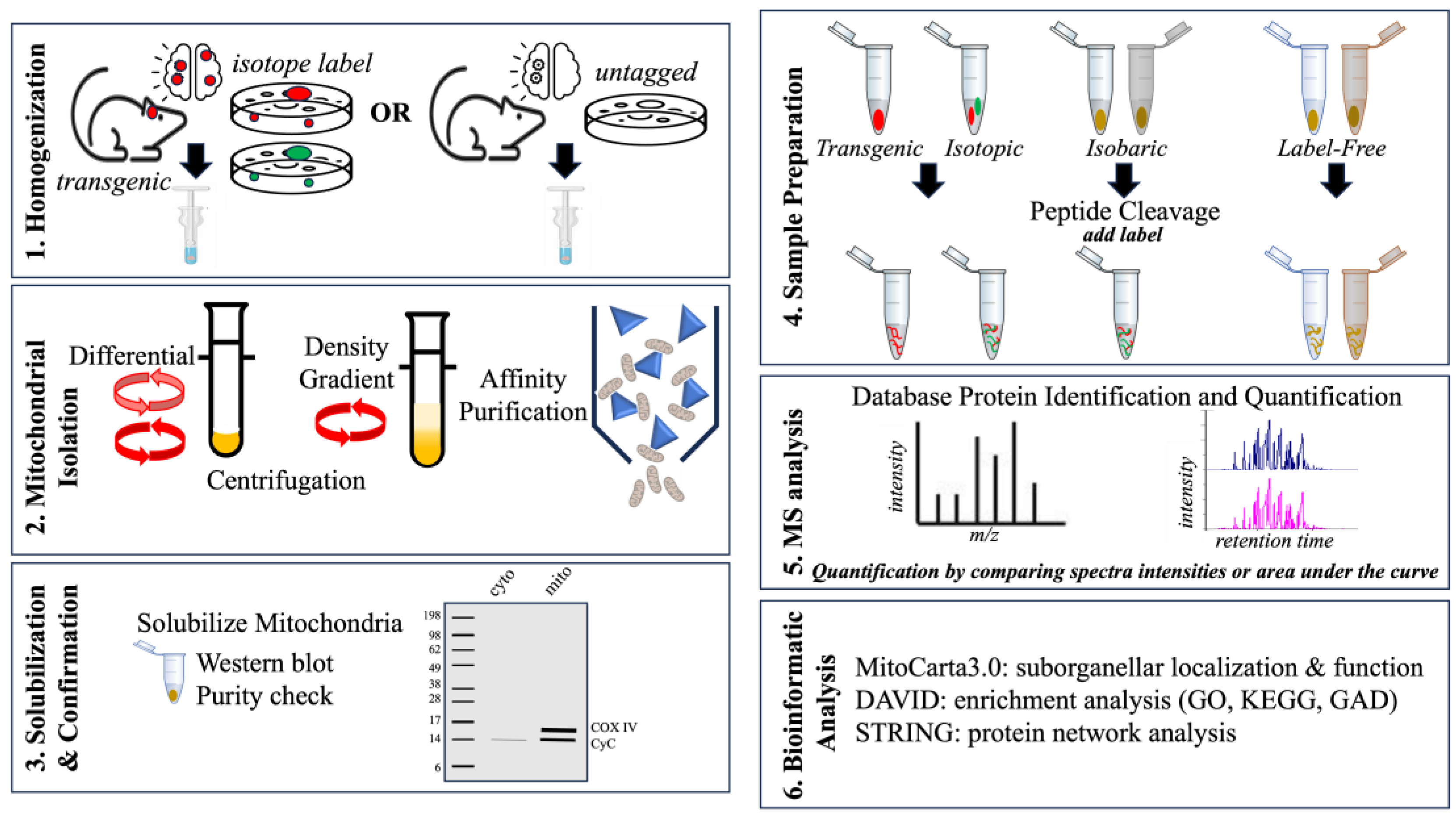 Biomolecules 13 01638 g004