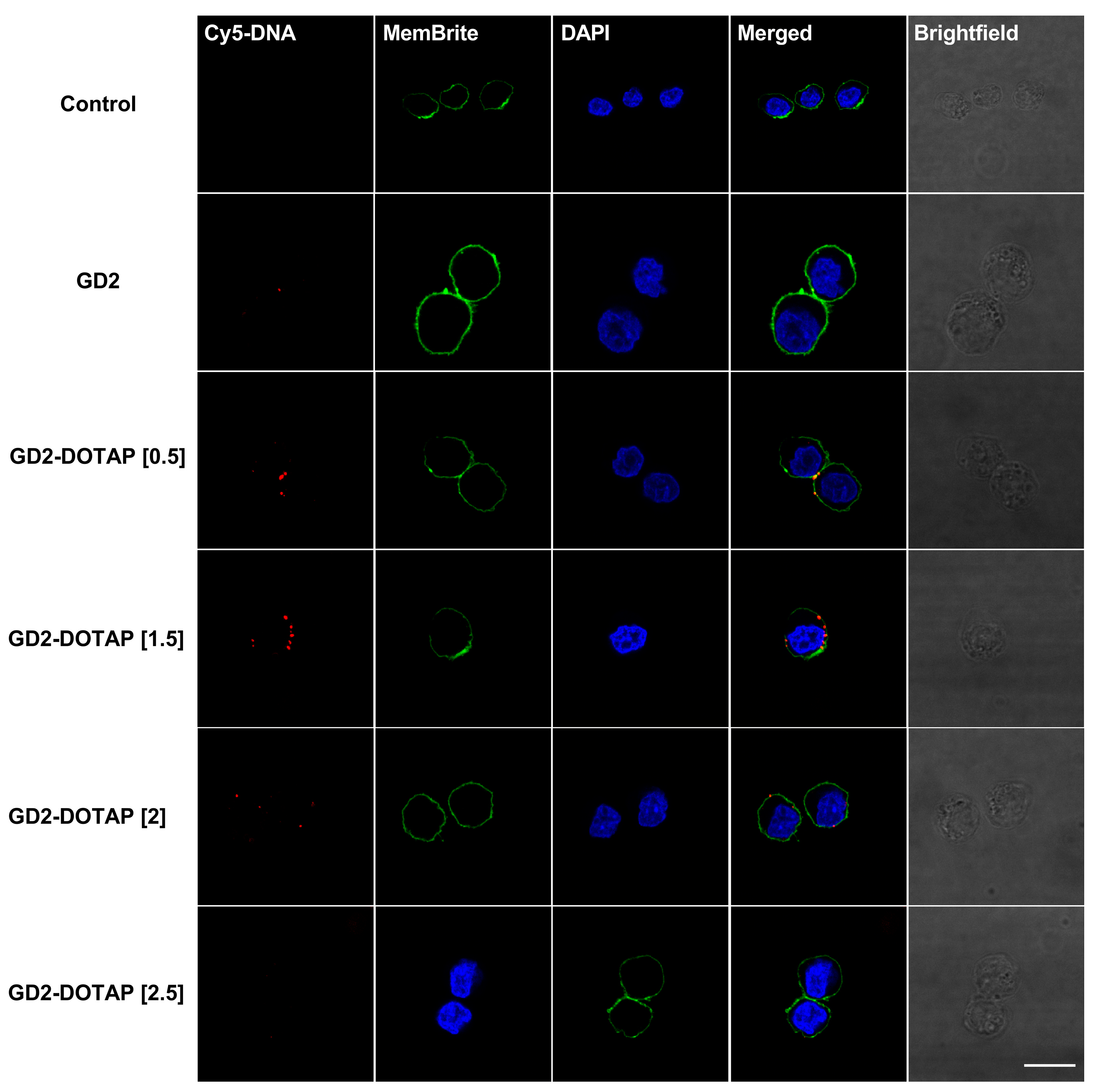 Biomolecules 13 01639 g004