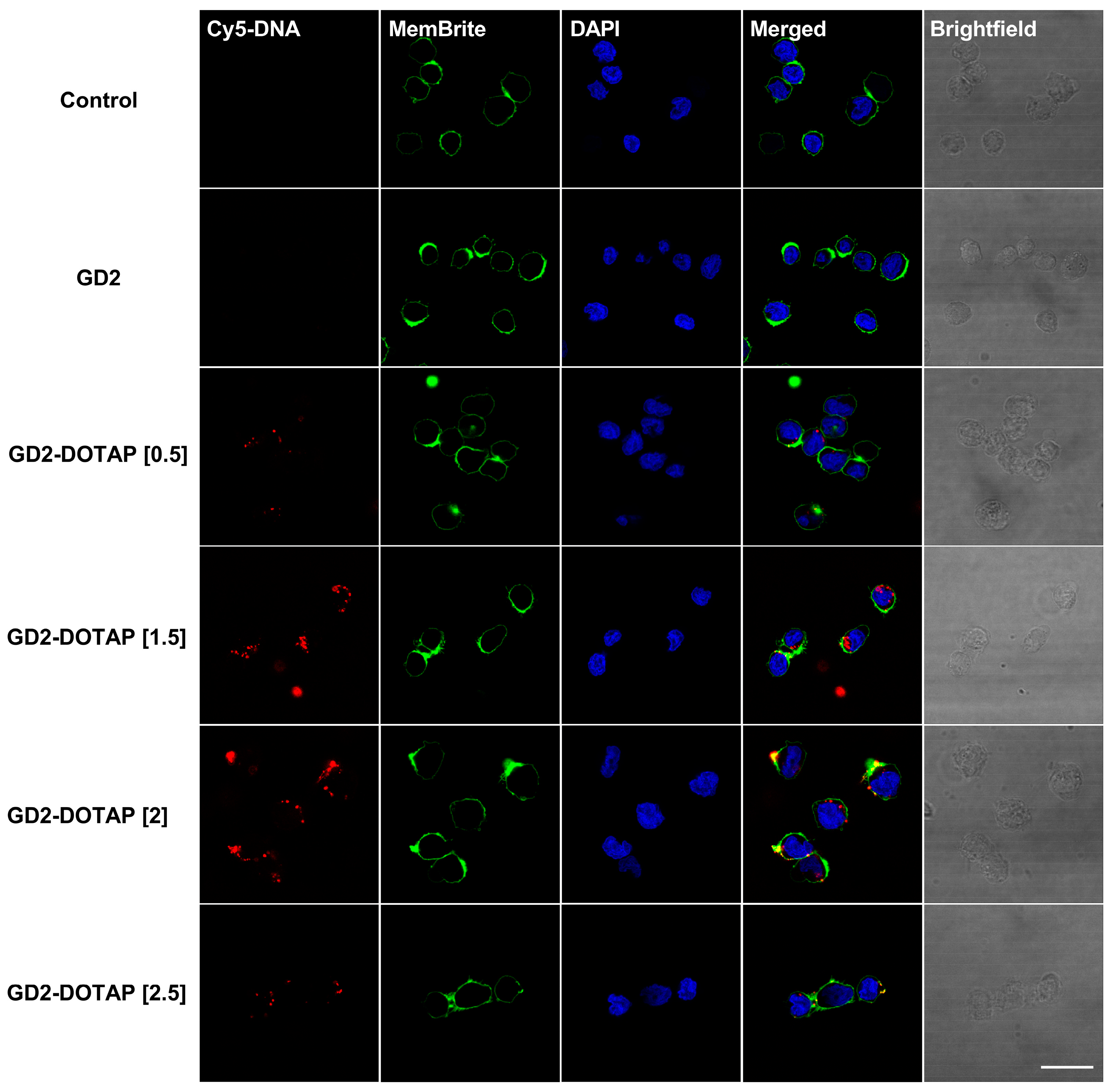 Biomolecules 13 01639 g005