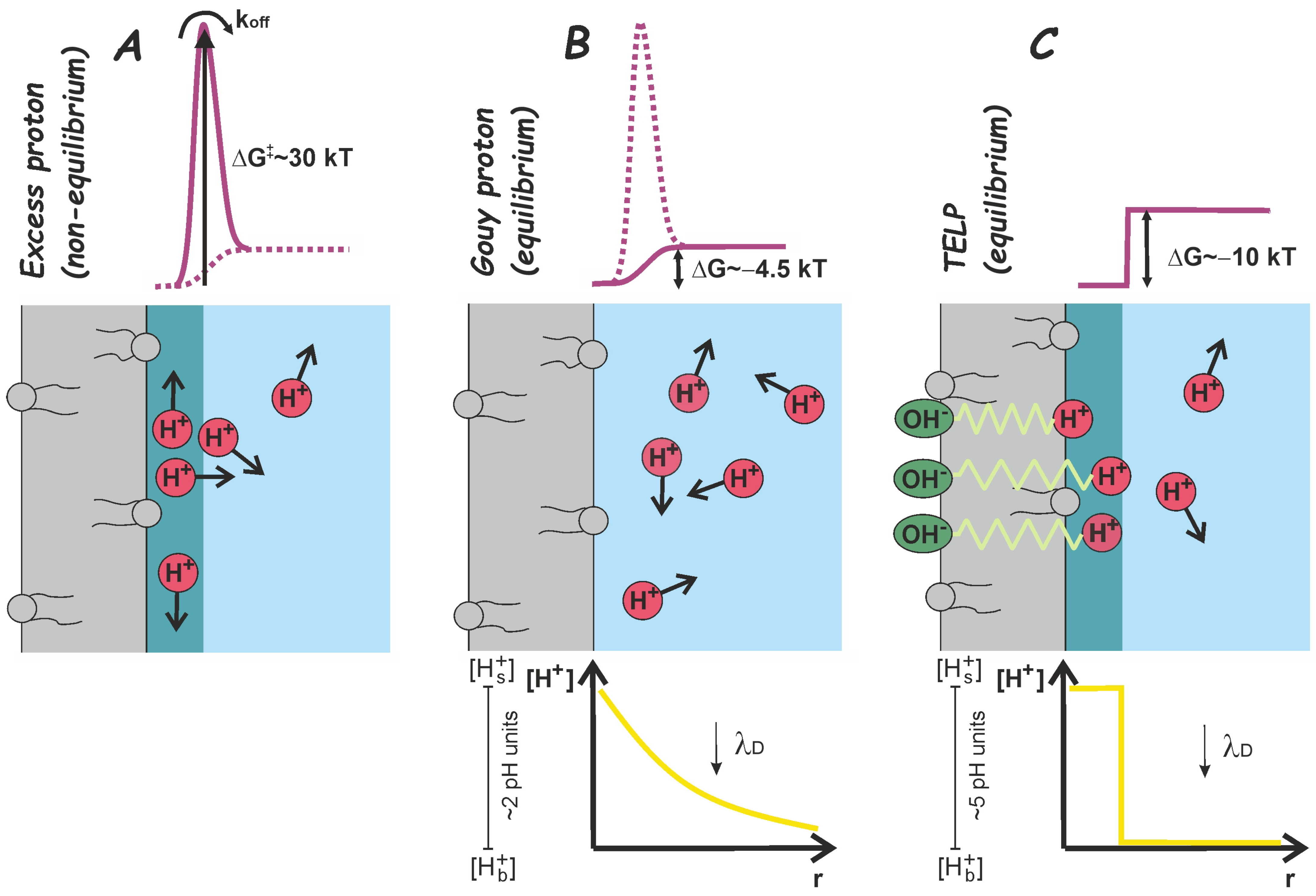 Biomolecules 13 01641 g001