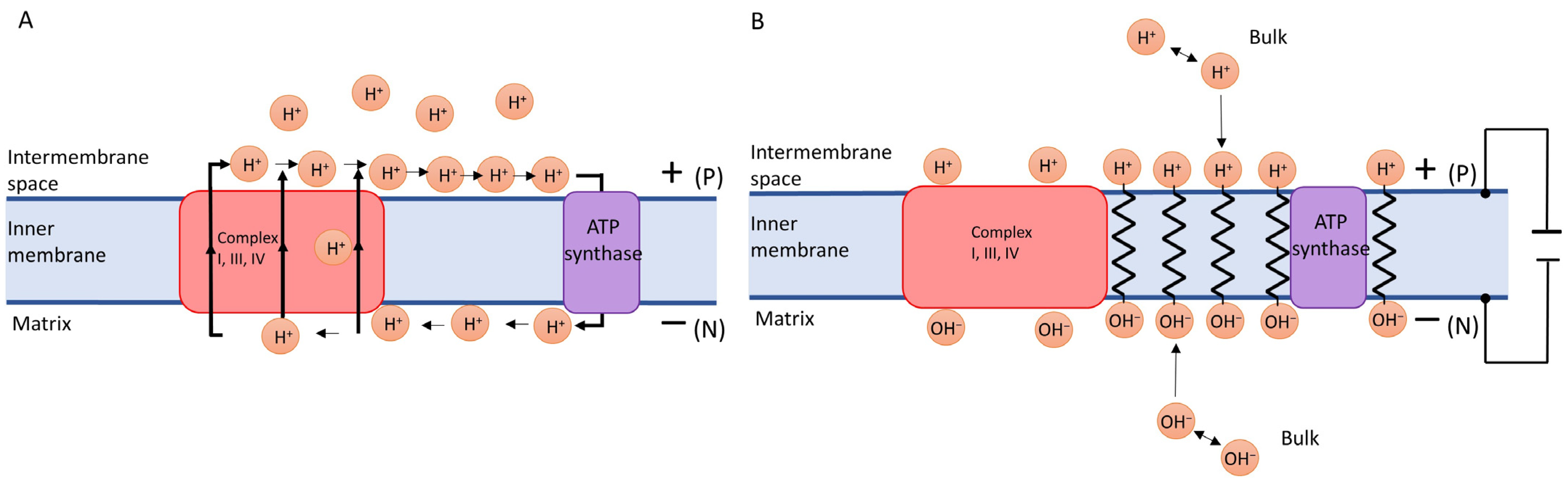 Biomolecules 13 01641 g002