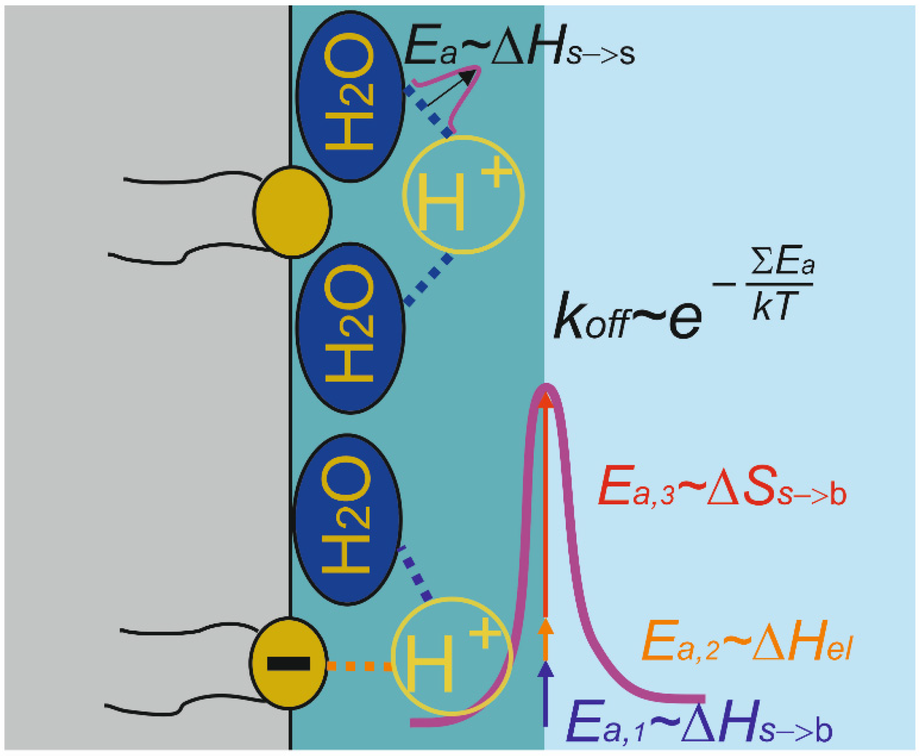 Biomolecules 13 01641 g004