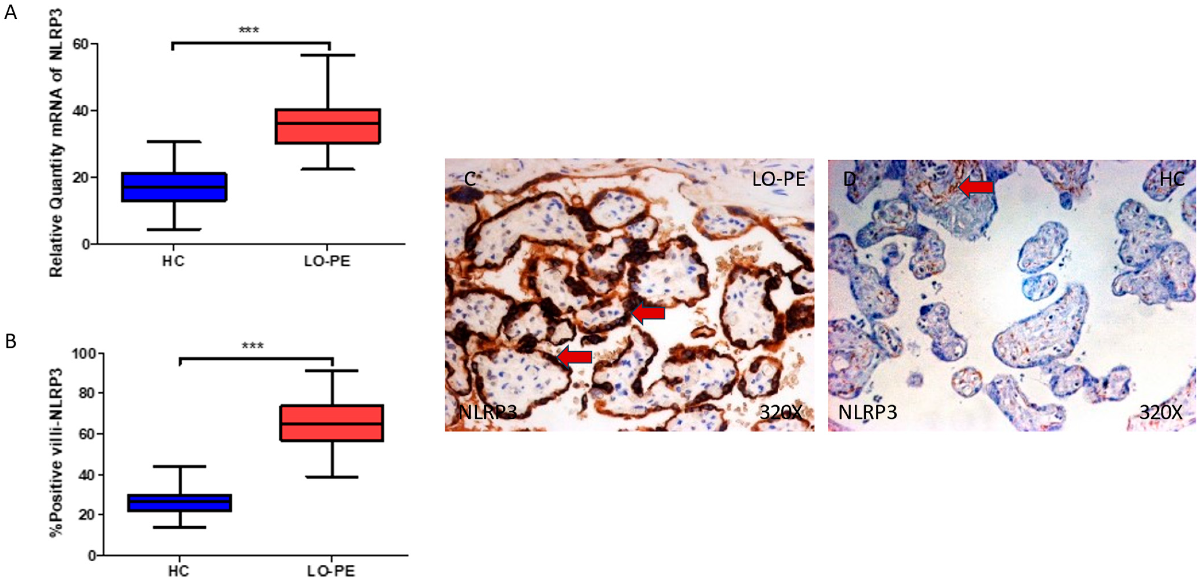 Biomolecules 13 01644 g001