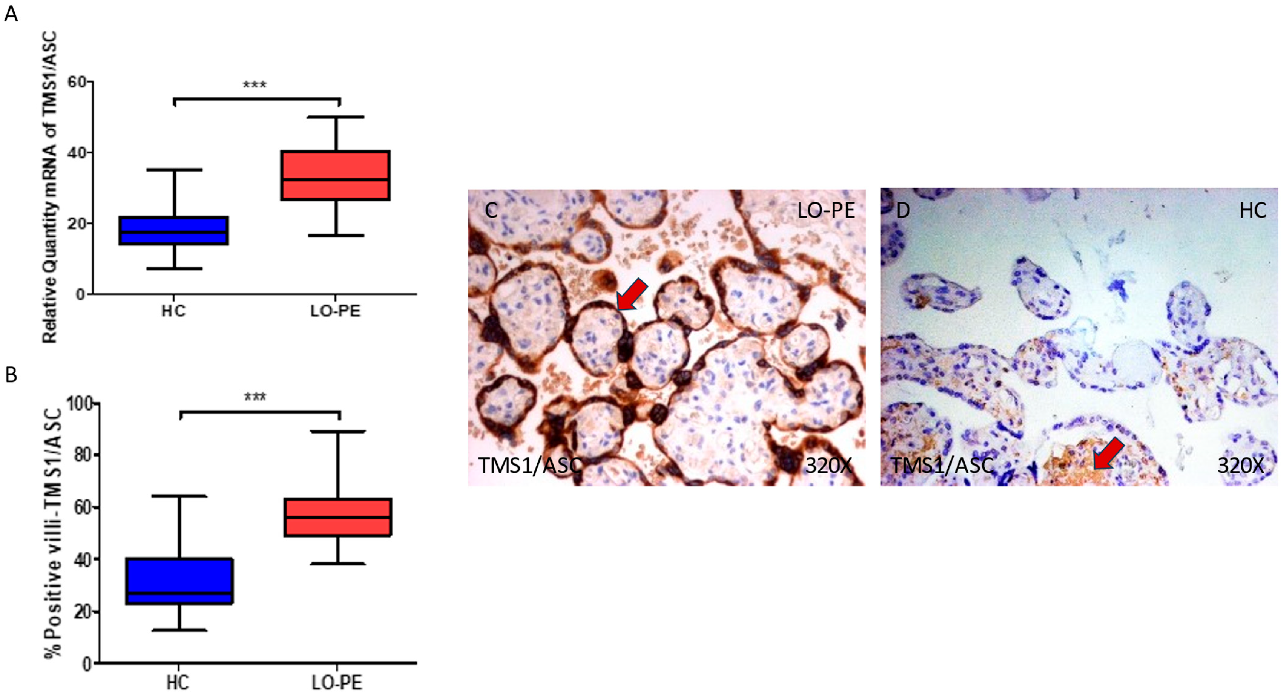 Biomolecules 13 01644 g002