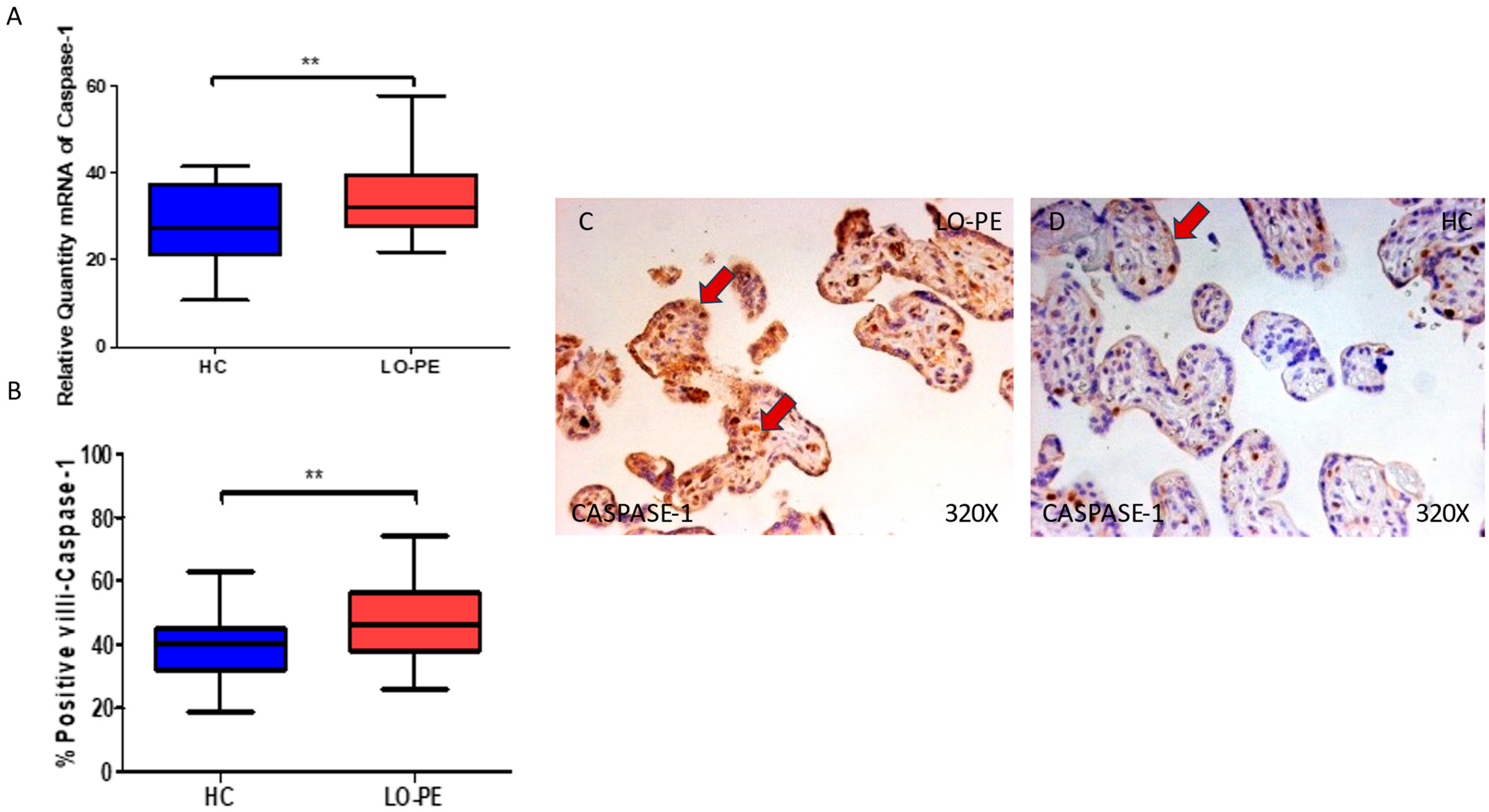 Biomolecules 13 01644 g003